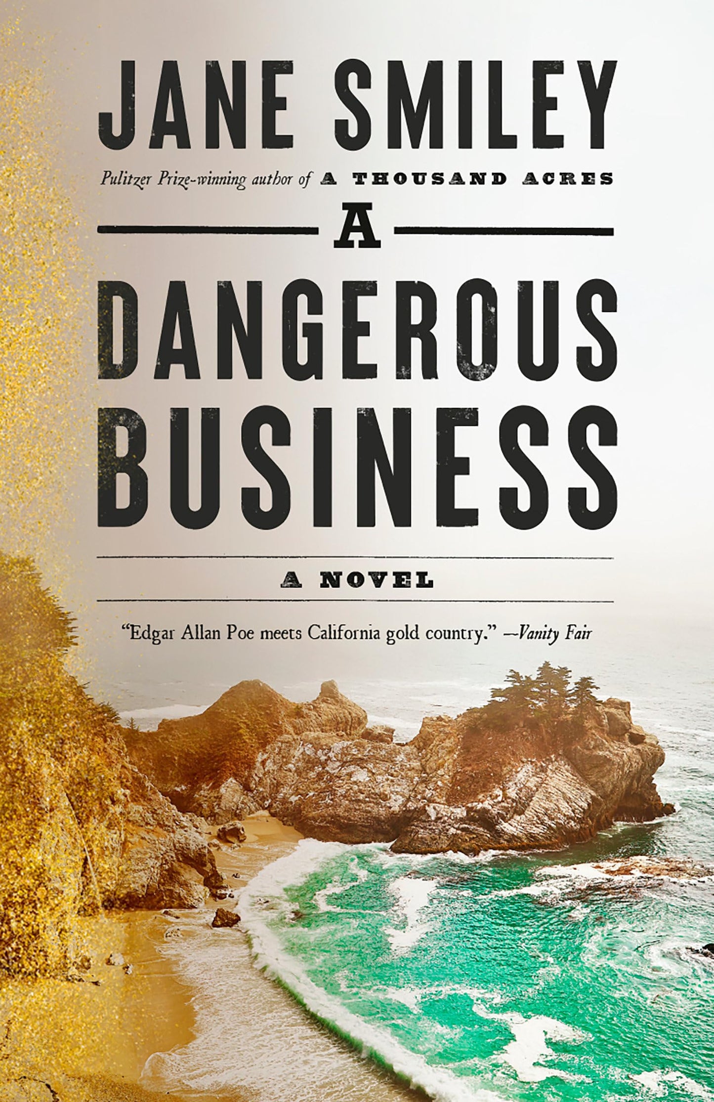 Dangerous Business book cover