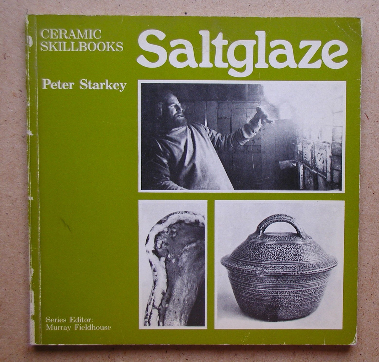 Saltglaze (Ceramic skillbooks) book cover