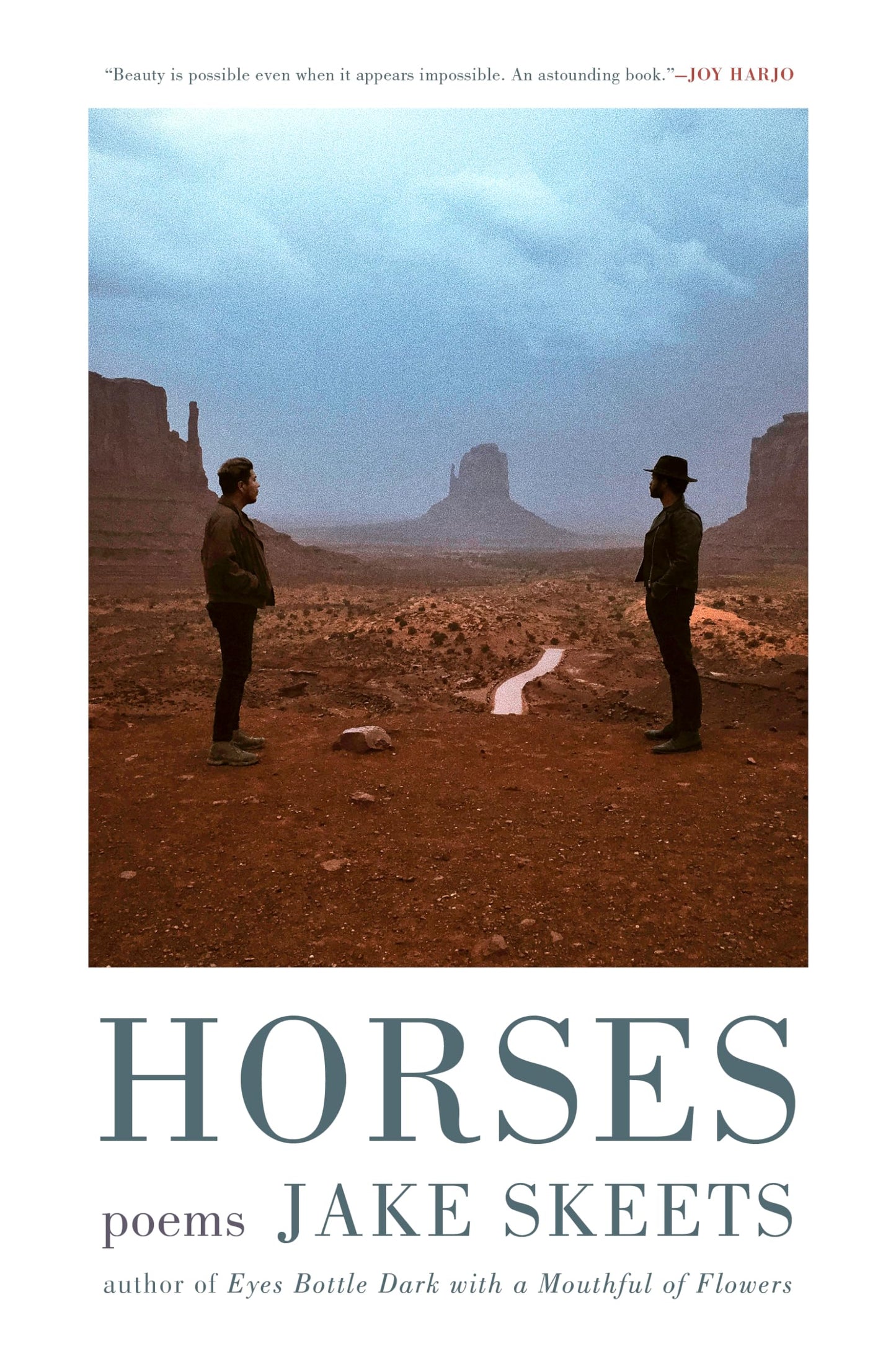 Horses book cover
