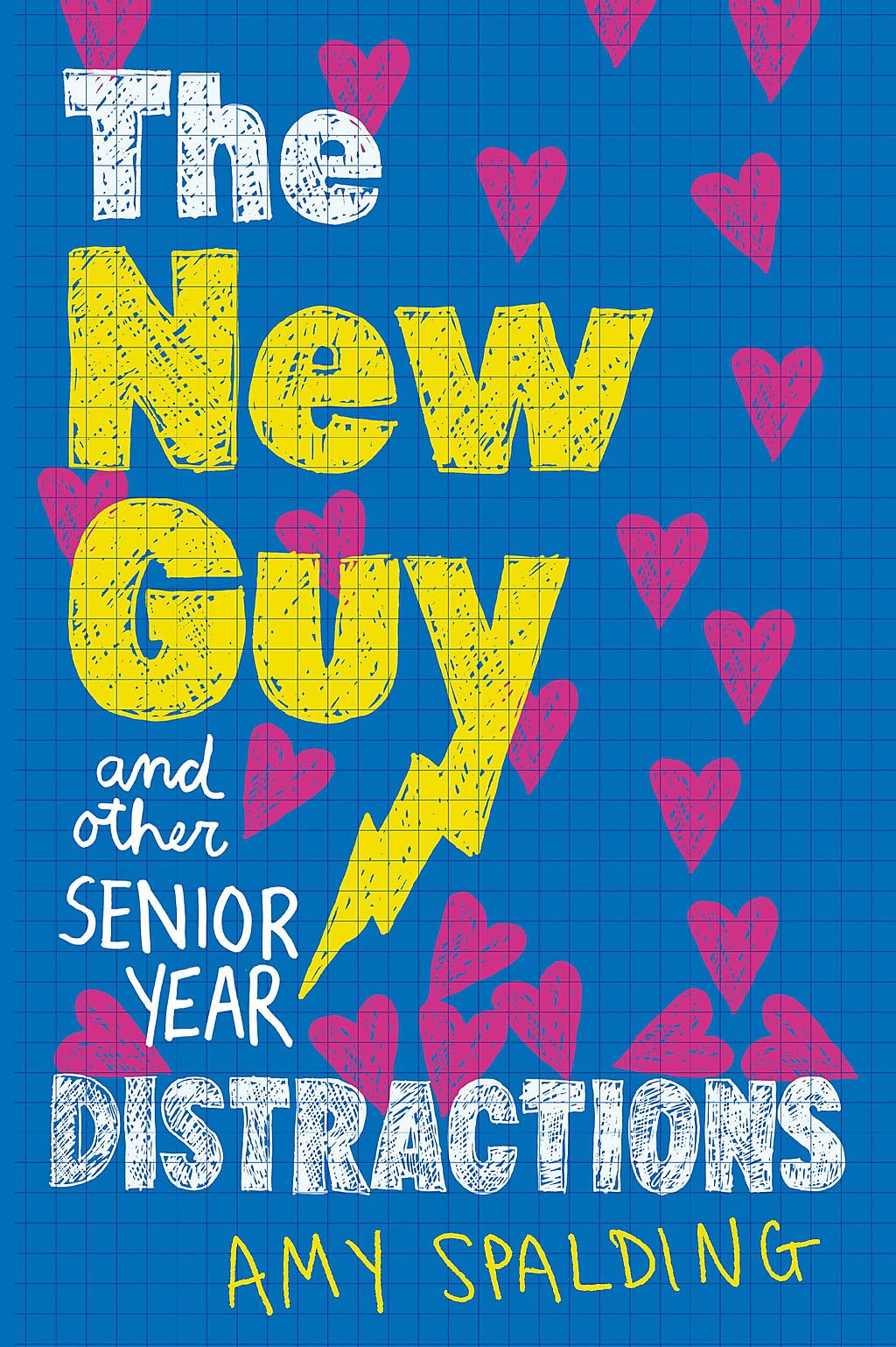 New Guy (and Other Senior Year Distractions) book cover