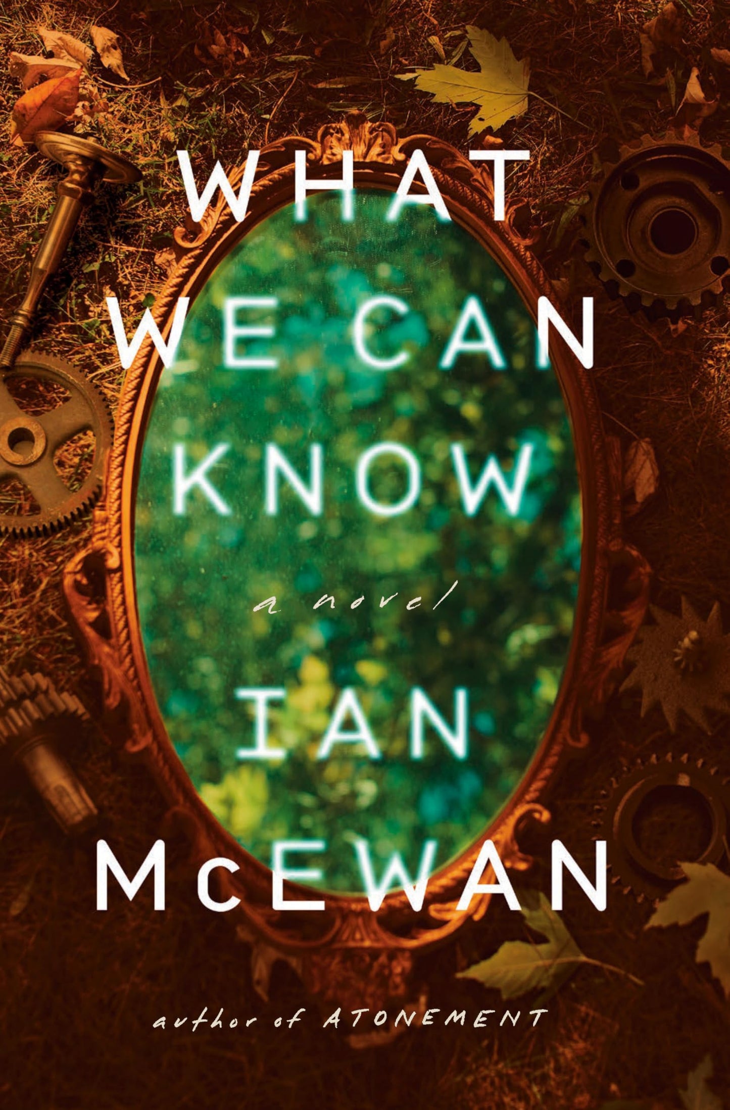What We Can Know book cover