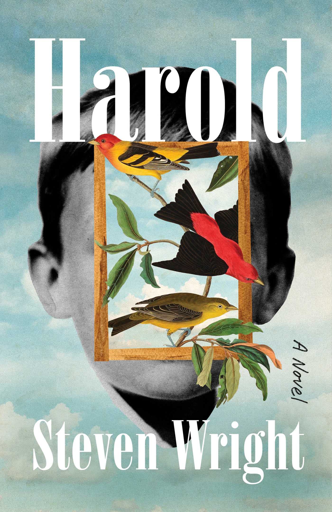Harold book cover