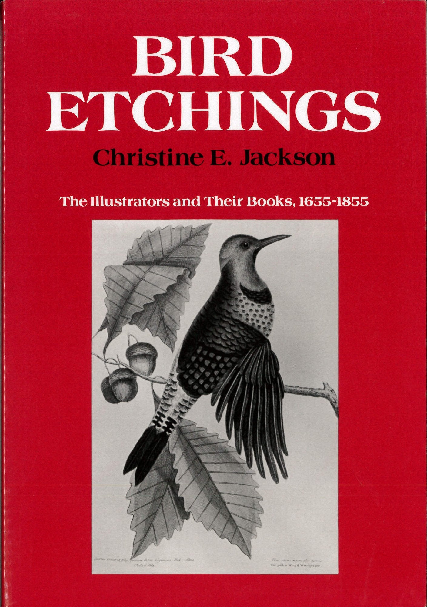 Bird Etchings: The Illustrators and Their Books, 1655-1855 book cover
