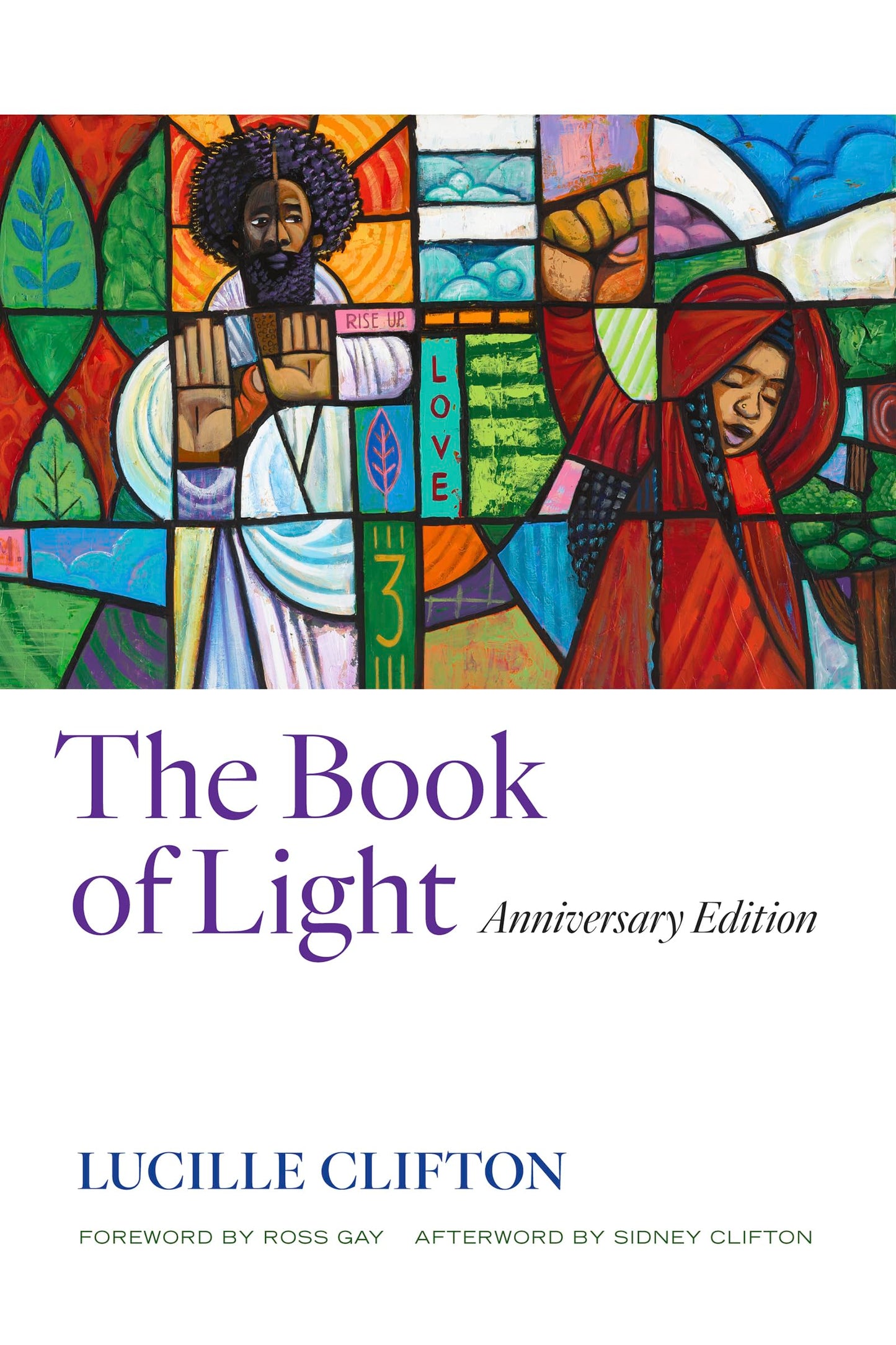 Book of Light: Anniversary Edition book cover