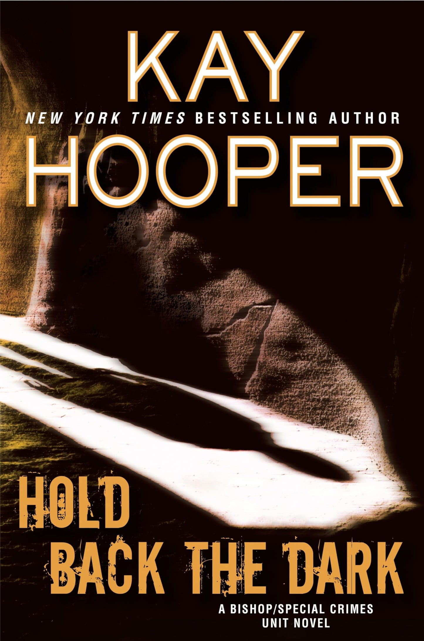 Hold Back the Dark book cover
