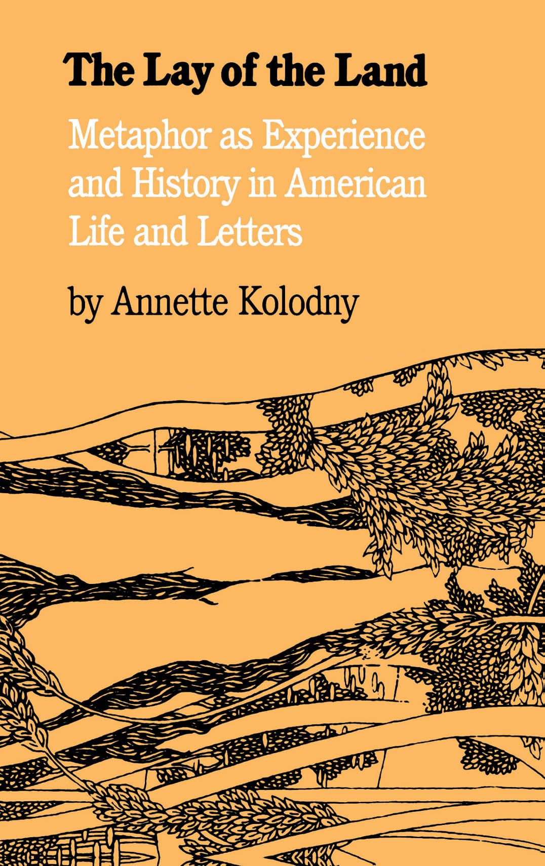 Lay of the Land: Metaphor as Experience and History in American Life and Letters (Revised) book cover