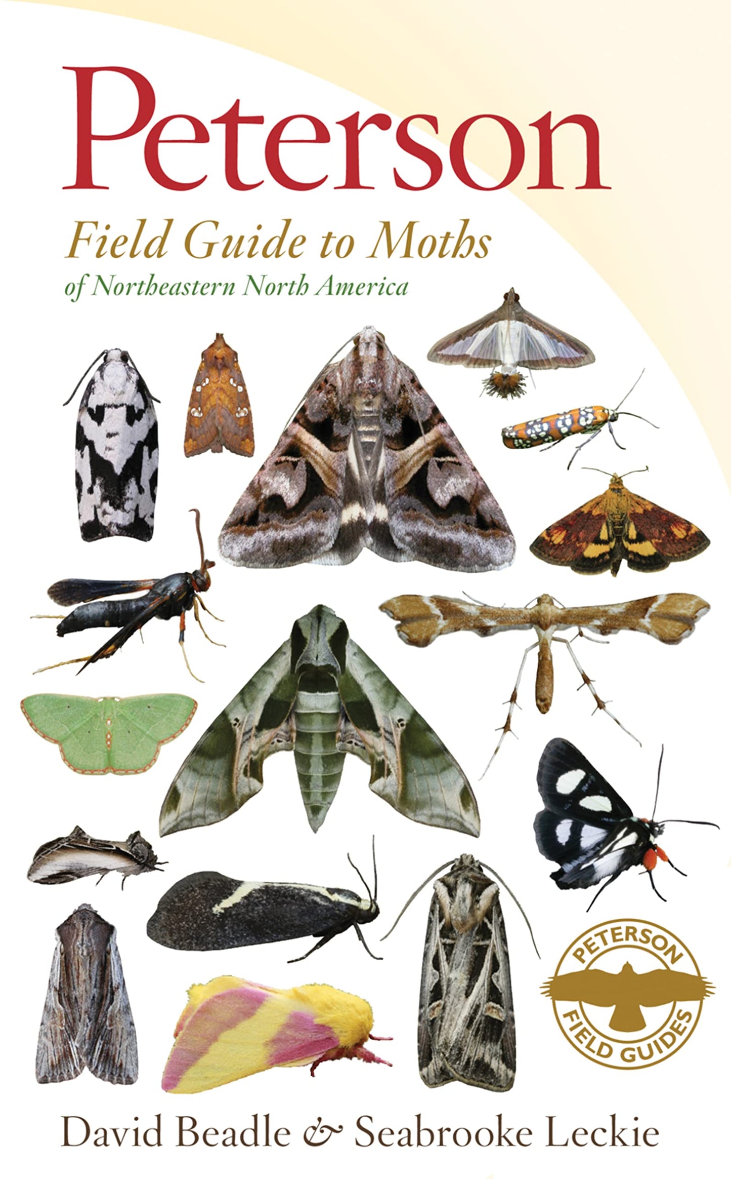 Peterson Field Guide To Moths of Northeastern North America book cover