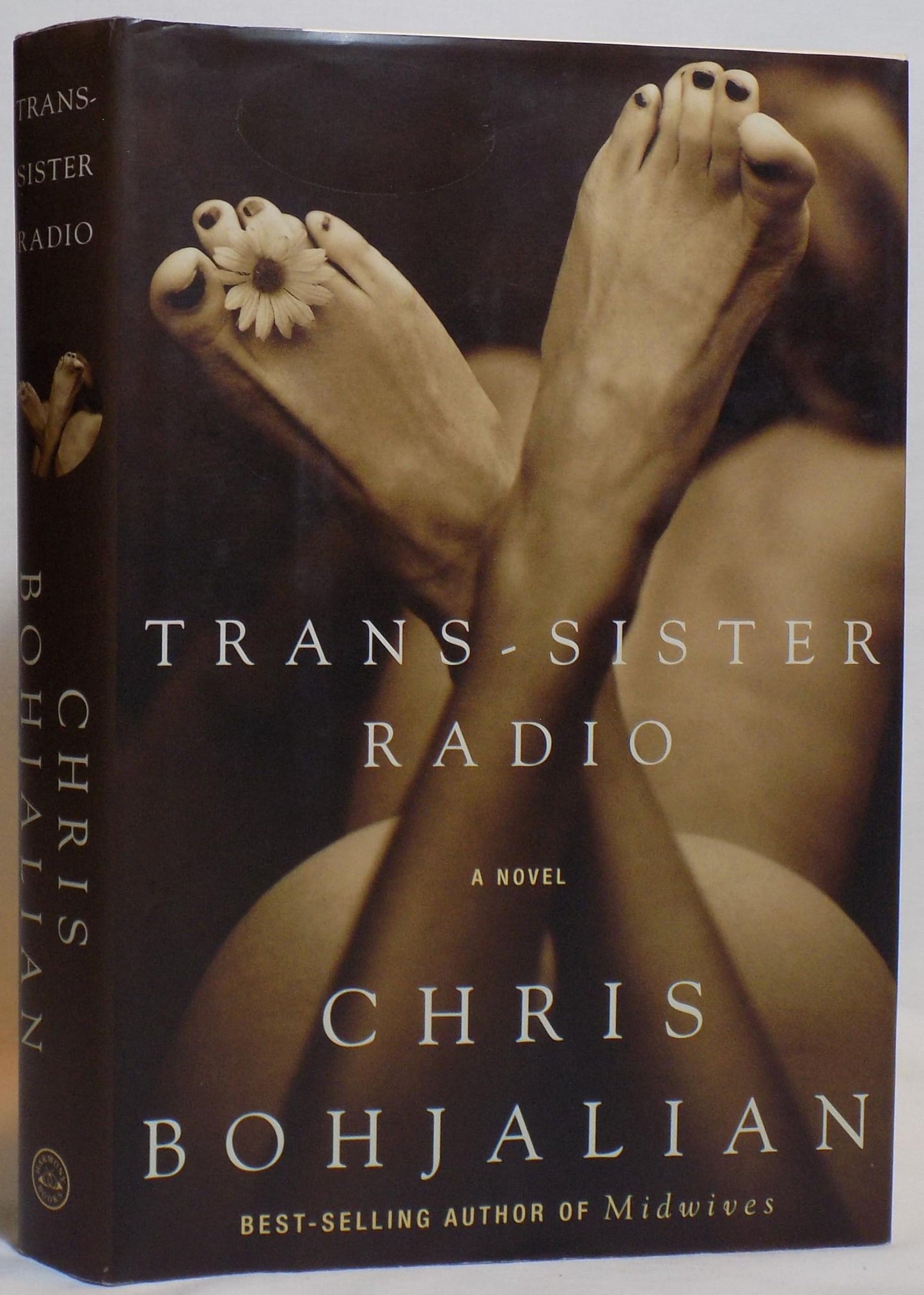 Trans-Sister Radio book cover