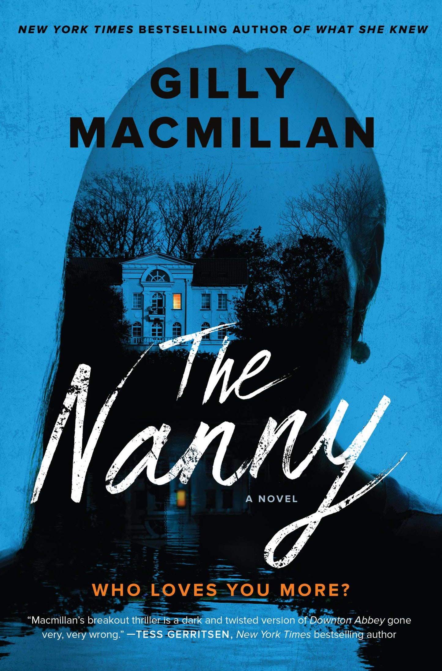 Nanny book cover