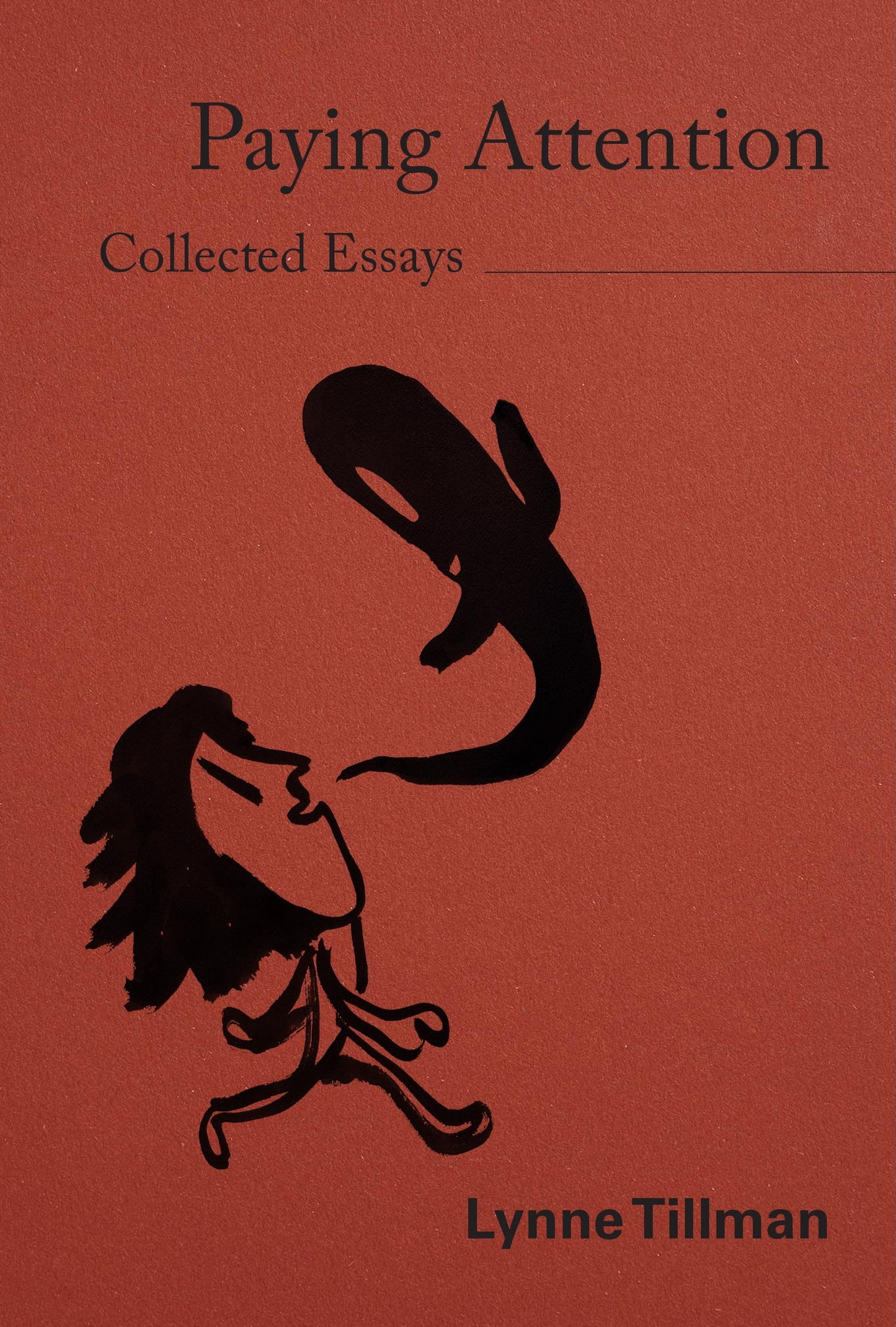 Paying Attention book cover