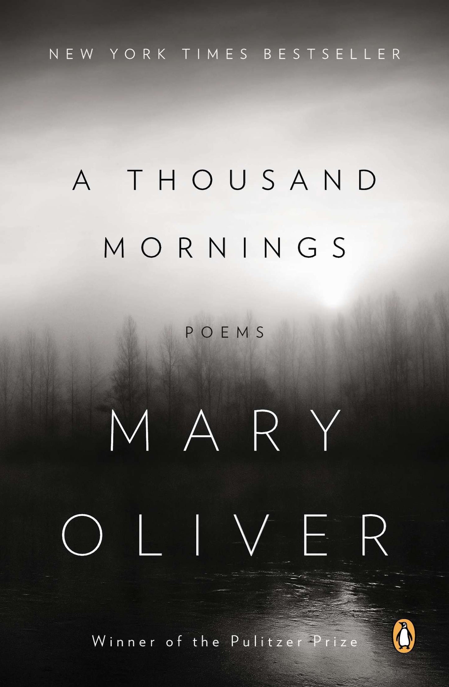 Thousand Mornings: Poems book cover