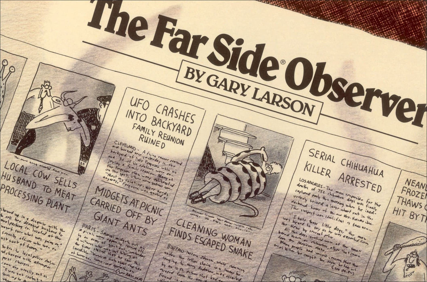 Far Side Observer, 10 book cover