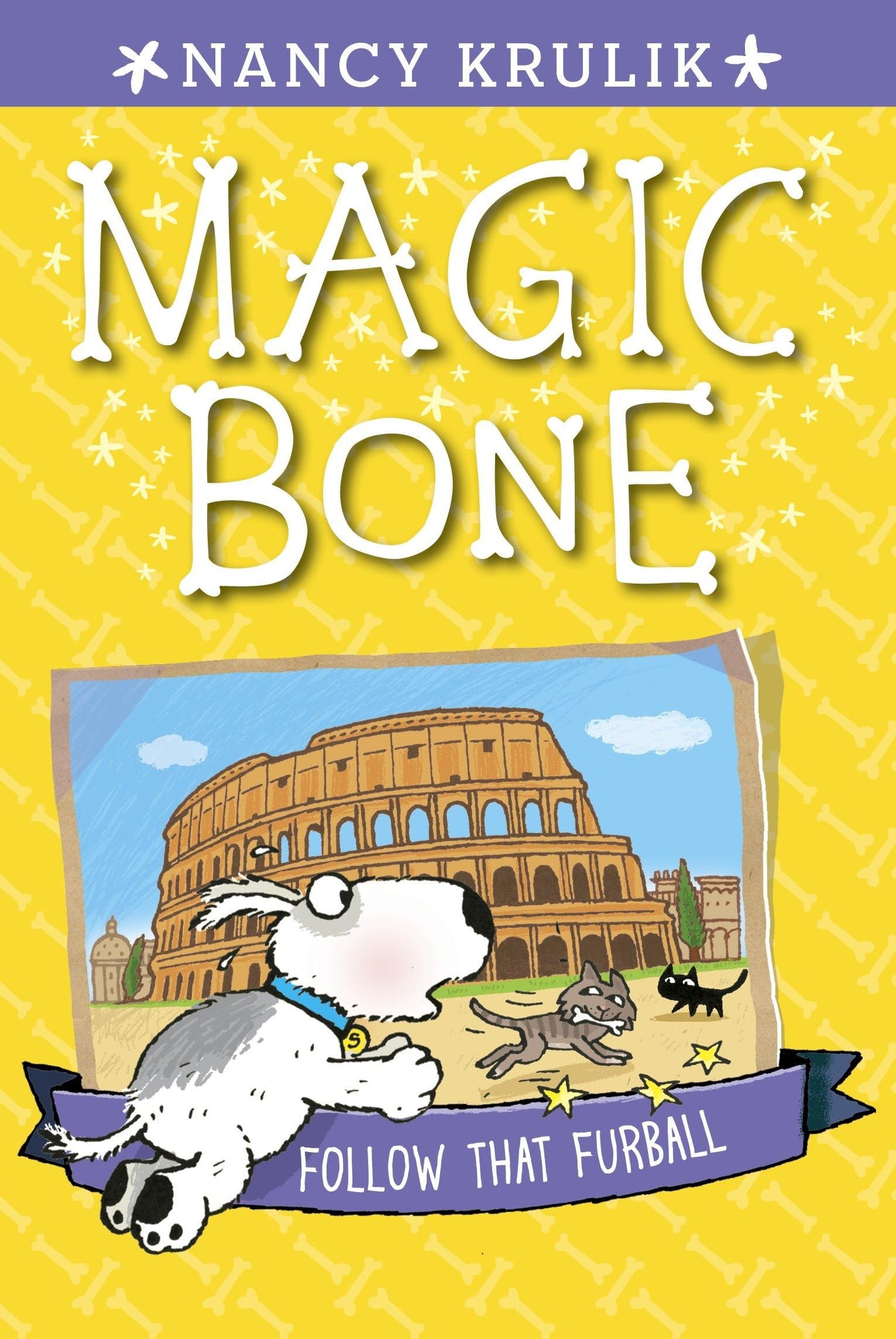 Follow That Furball #3 (Magic Bone) book cover