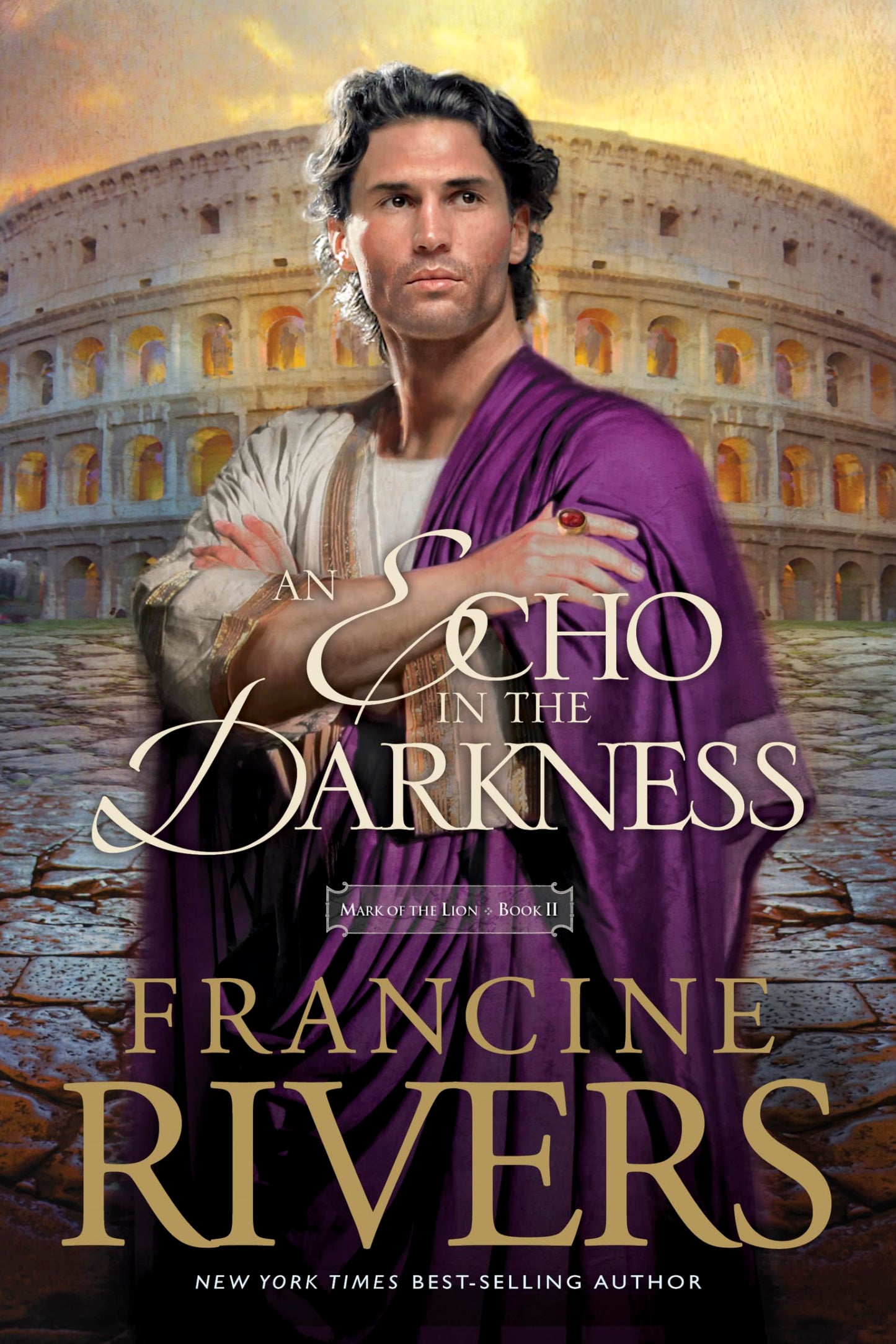 Echo in the Darkness book cover