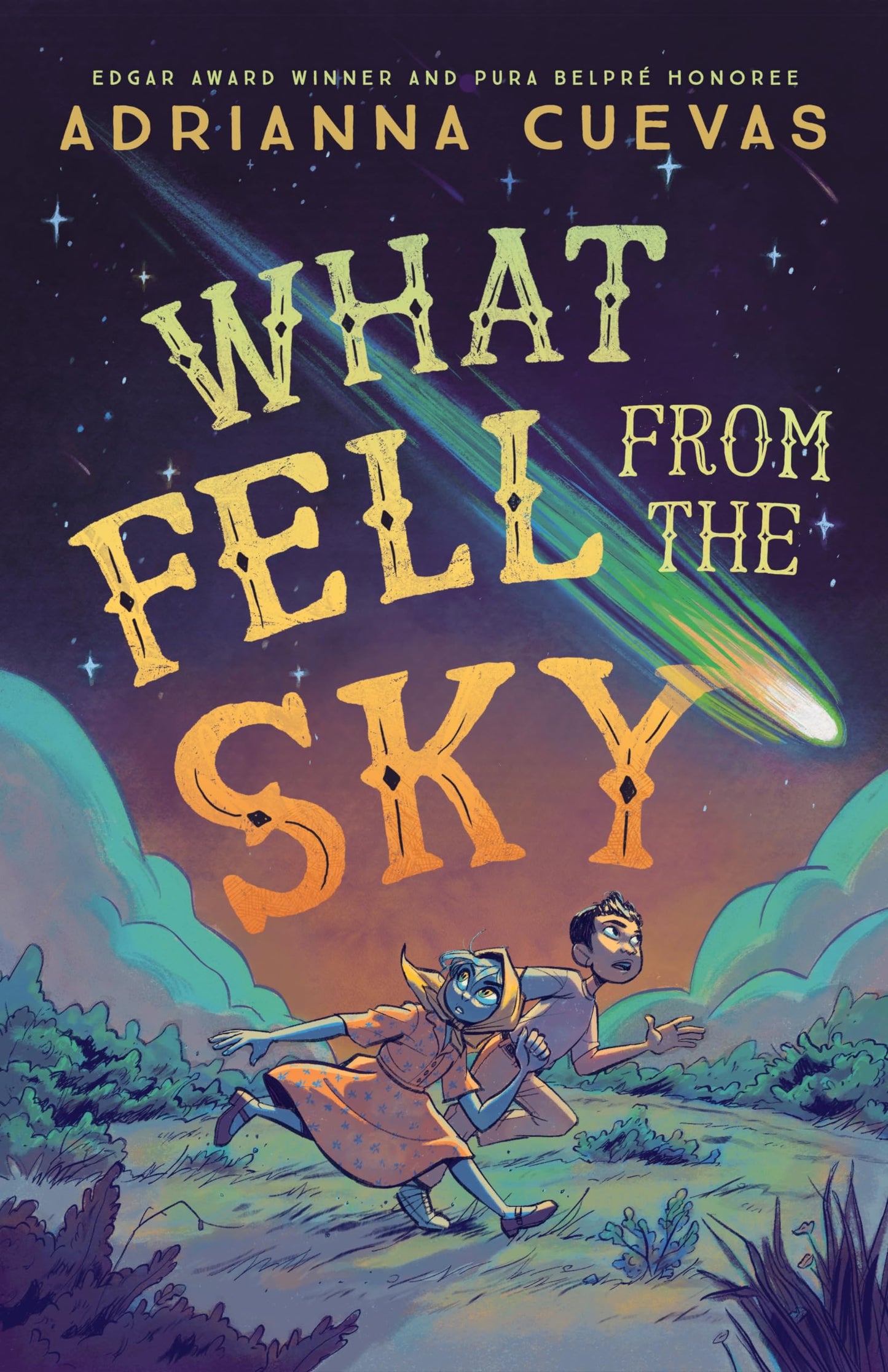 What Fell from the Sky book cover