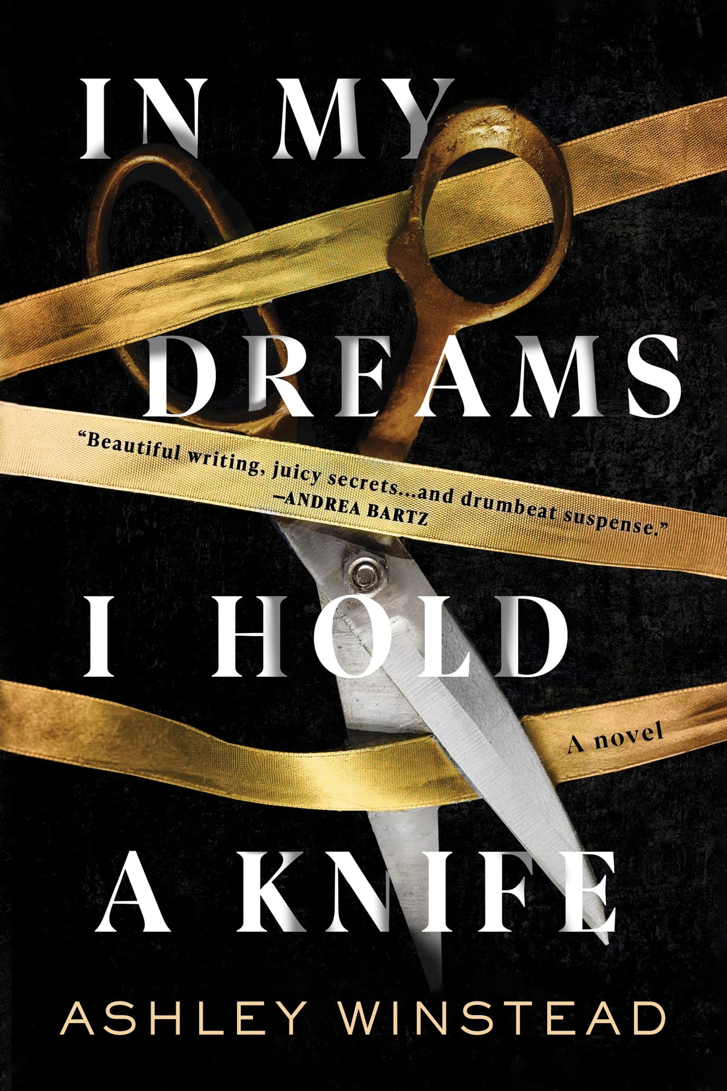 In My Dreams I Hold a Knife book cover