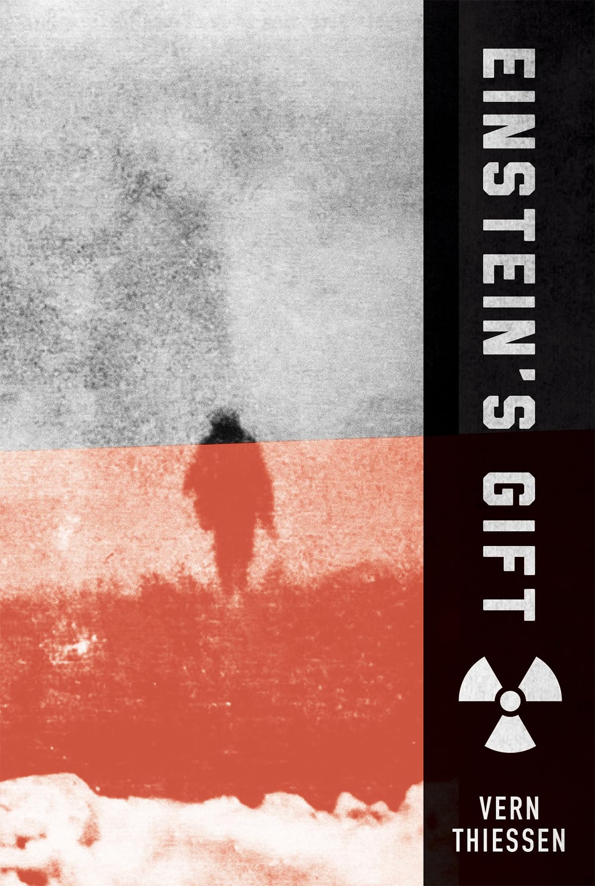 Einstein's Gift book cover