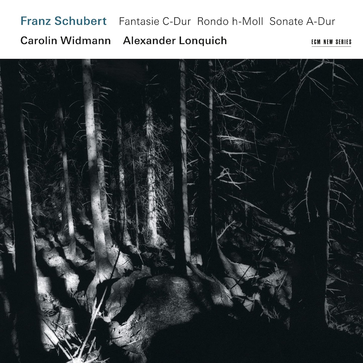 Franz Schubert book cover