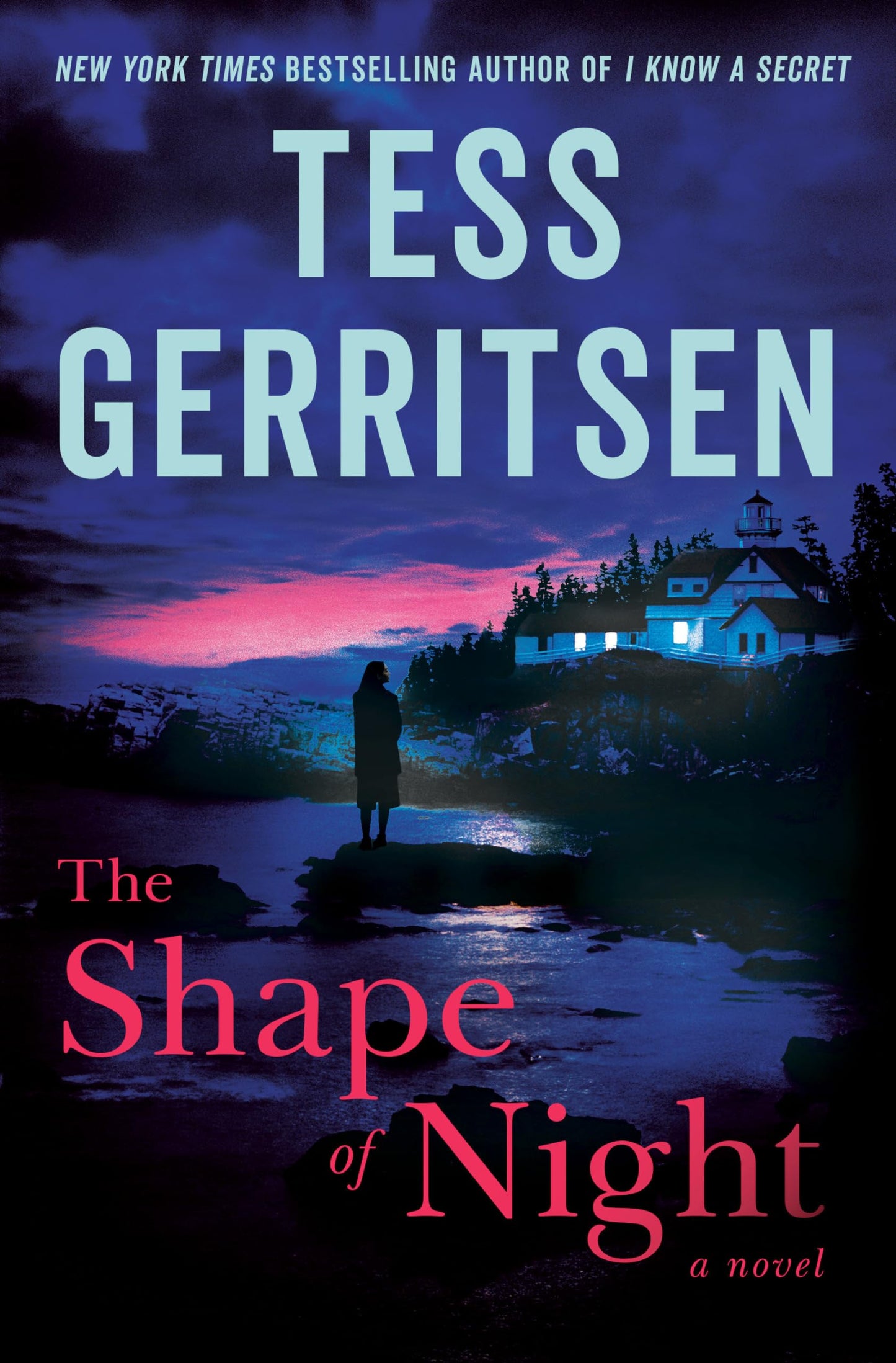 Shape of Night book cover