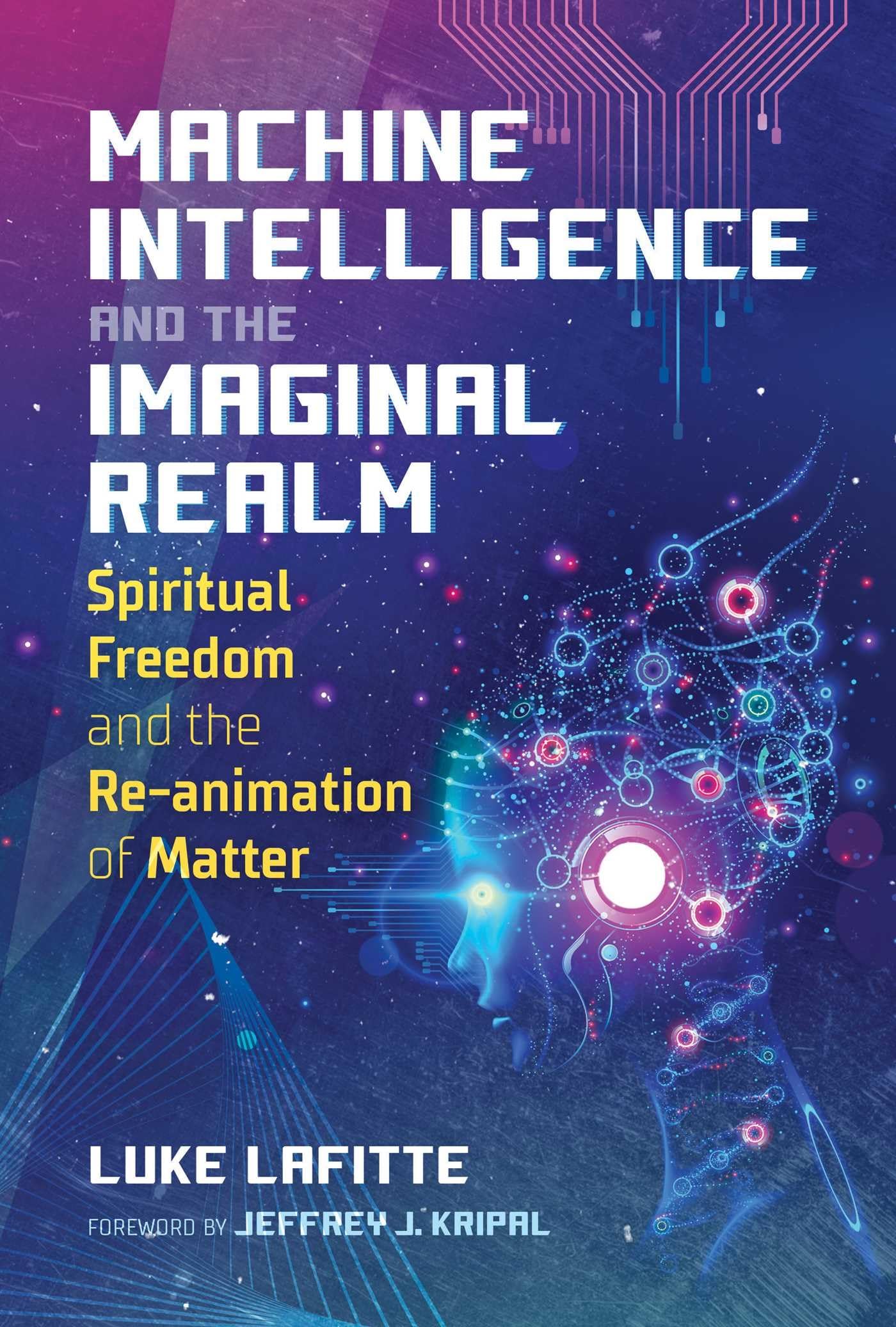 Machine Intelligence and the Imaginal Realm: Spiritual Freedom and the Re-Animation of Matter book cover