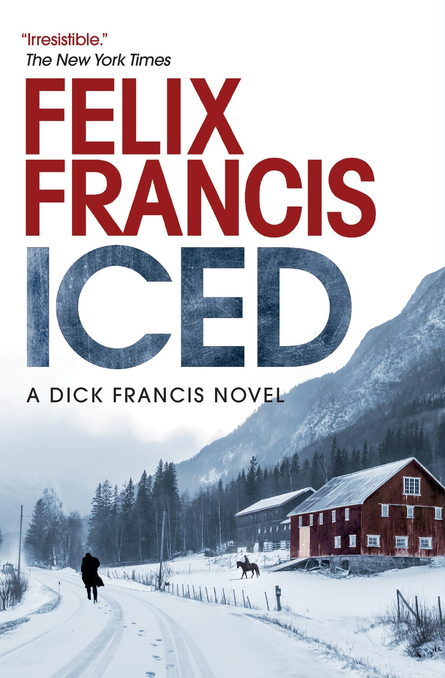 Iced book cover