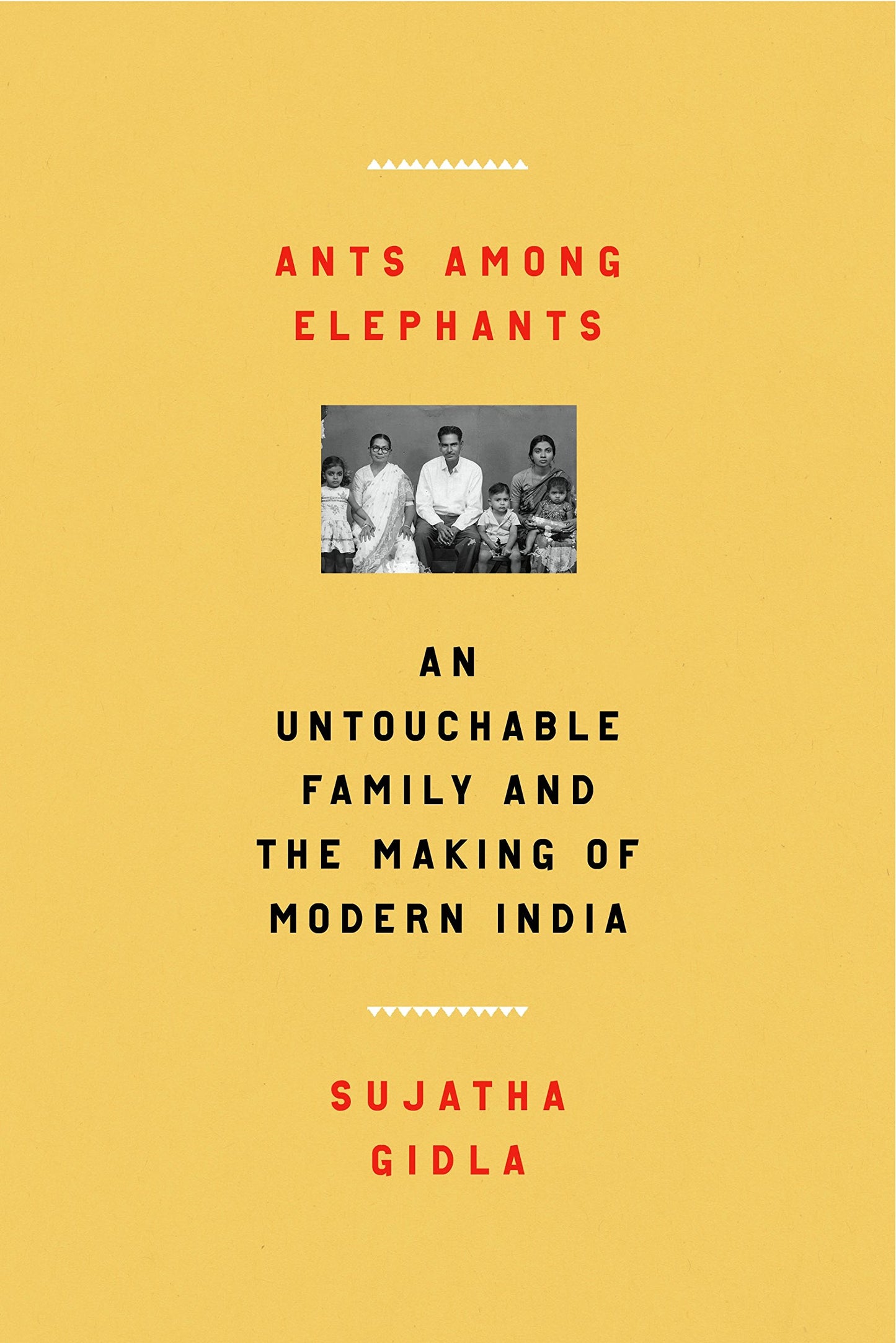 Ants Among Elephants: An Untouchable Family and the Making of Modern India book cover