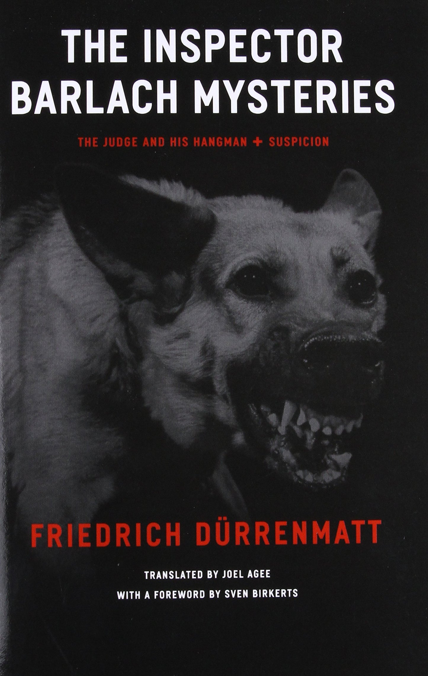 Inspector Barlach Mysteries: The Judge and His Hangman and Suspicion book cover