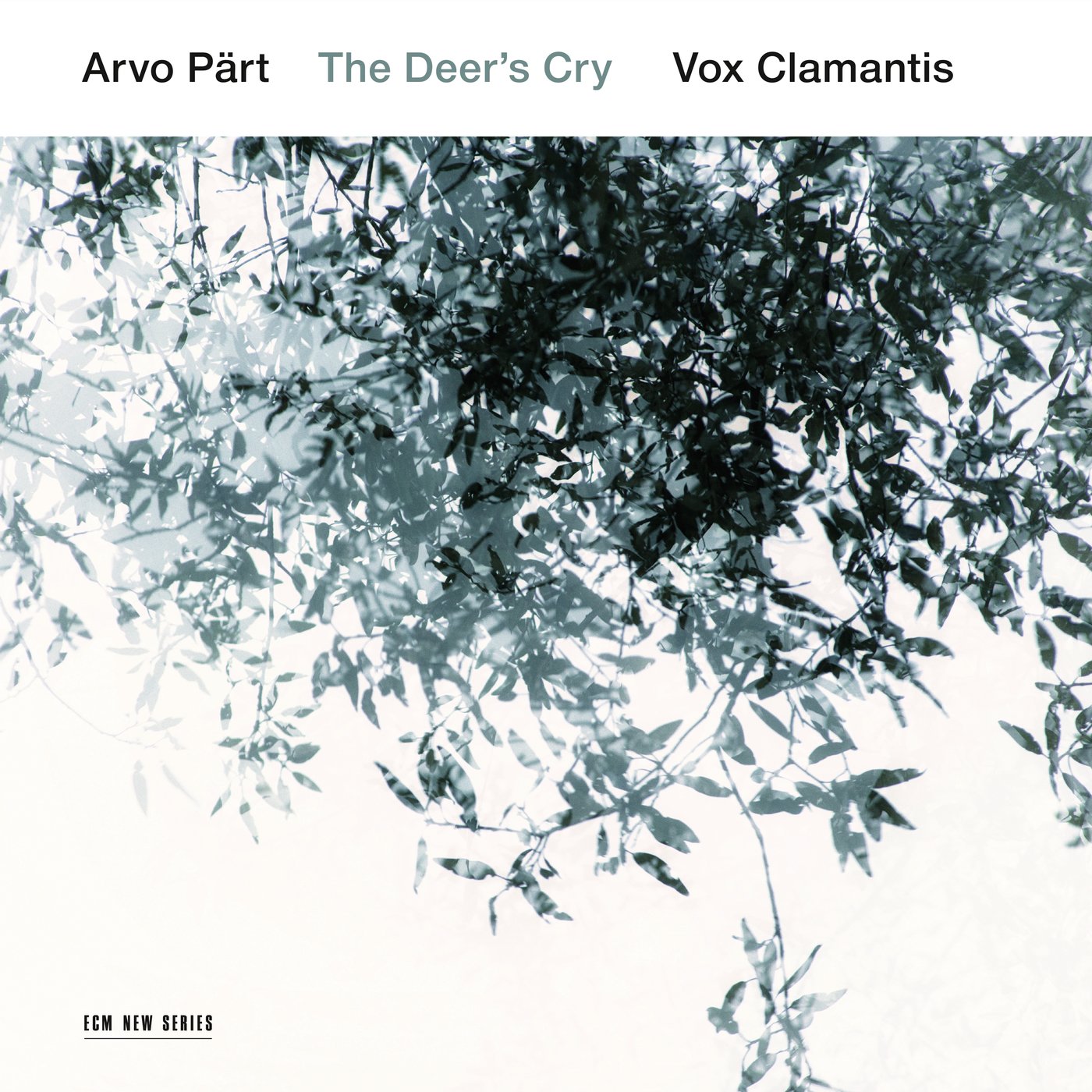 Arvo Part: The Deer's Cry book cover
