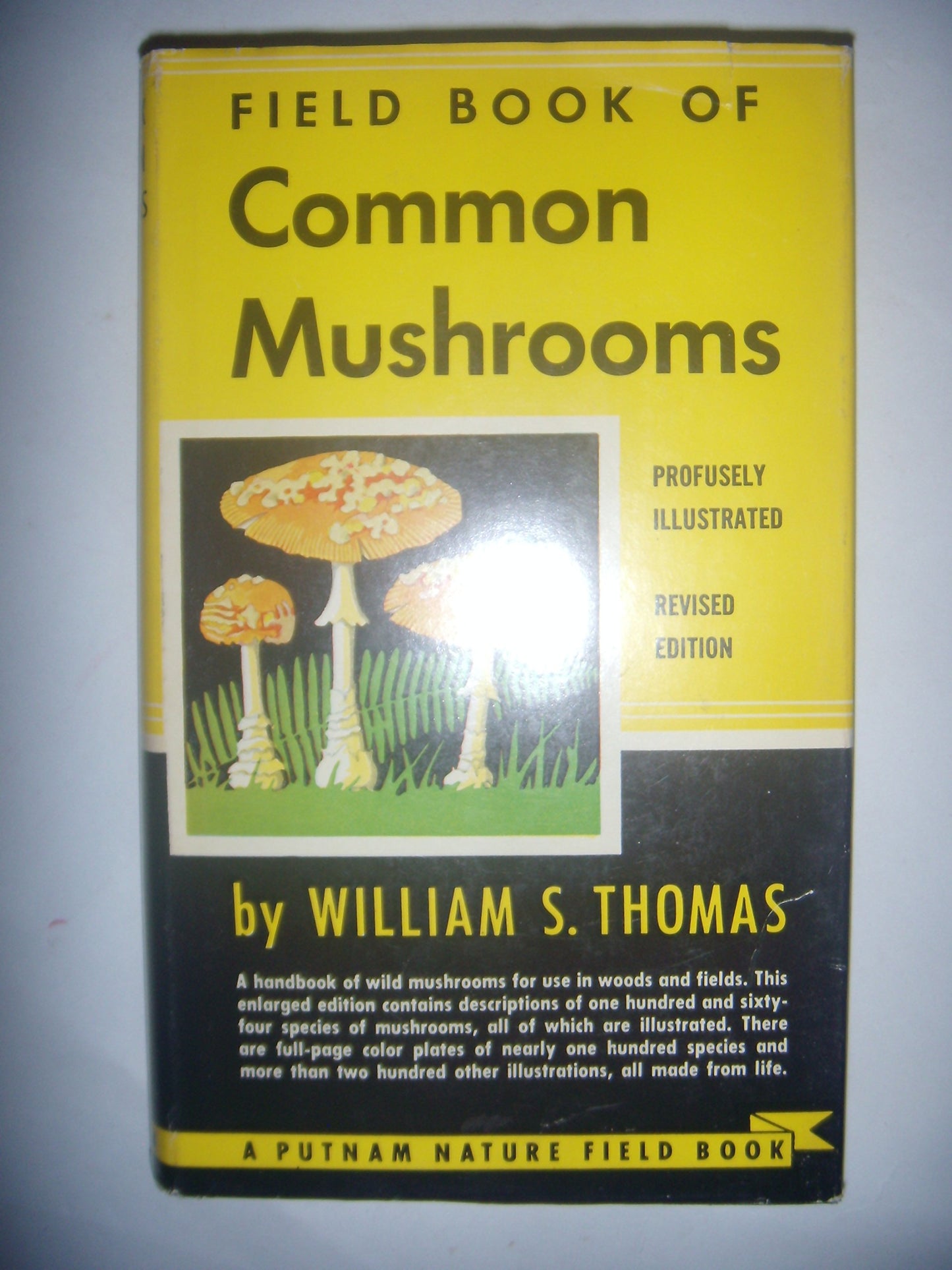 Field Book of Common Mushrooms book cover