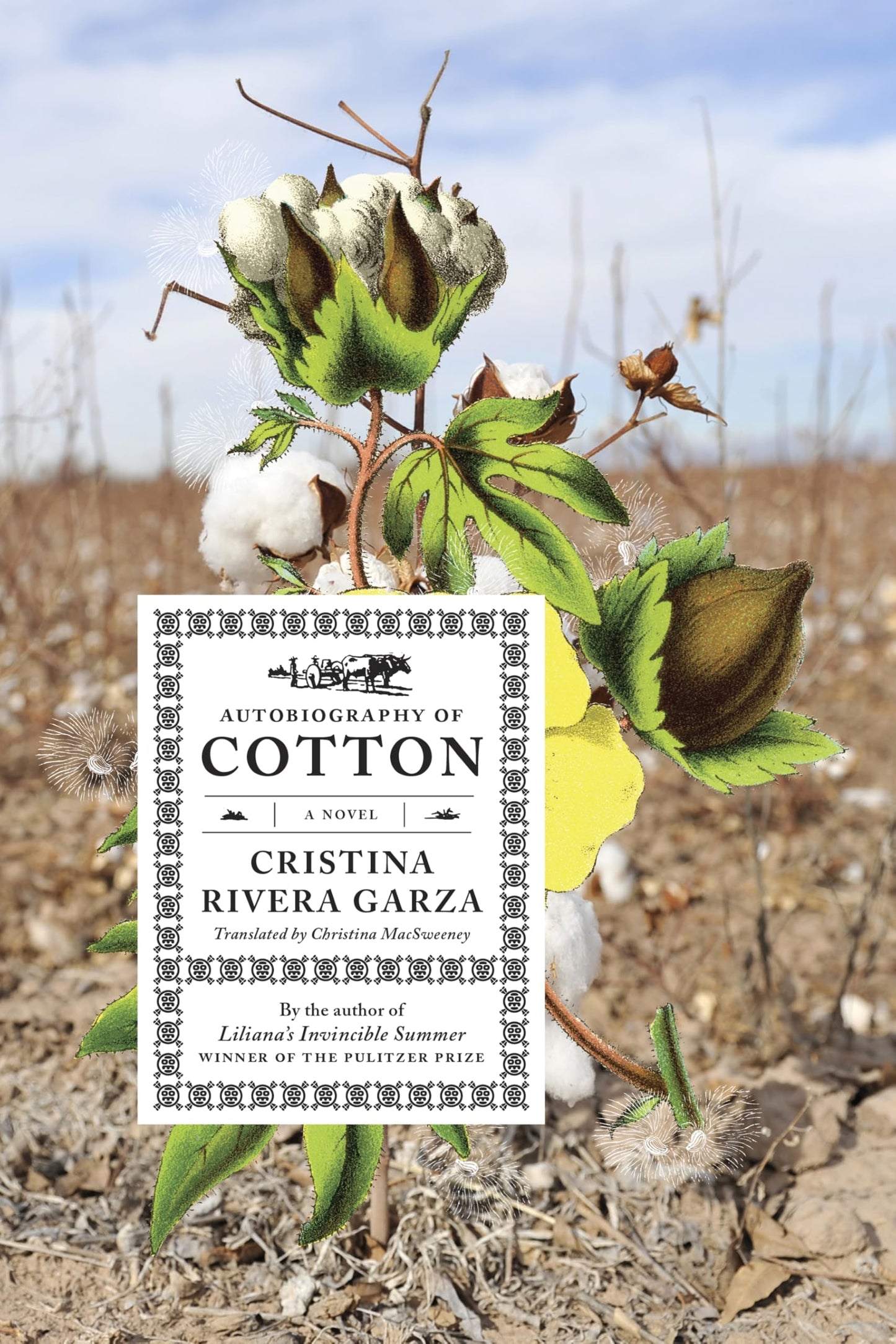 Autobiography of Cotton book cover