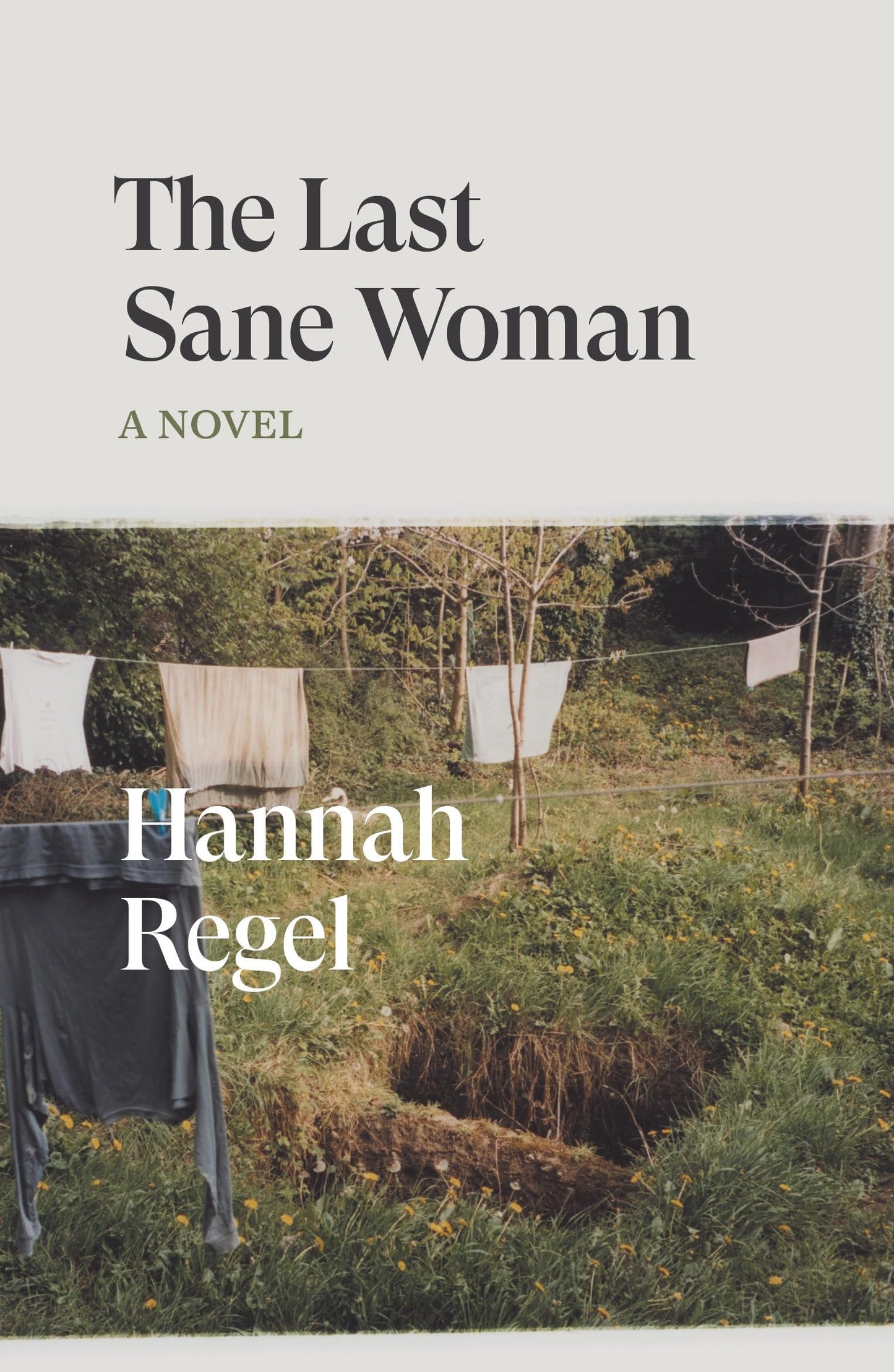 Last Sane Woman book cover