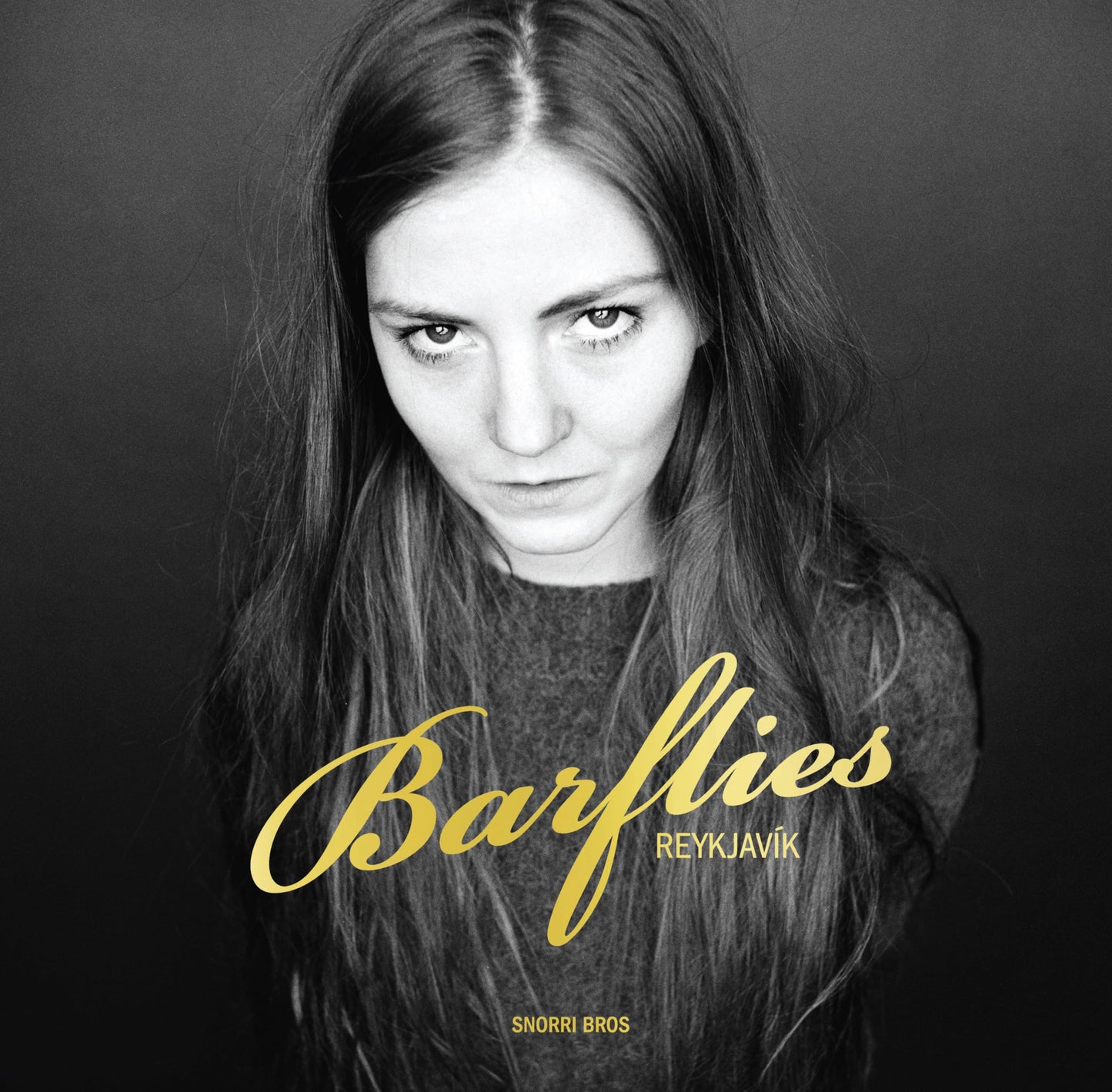 Barflies: Reykjavik 2 book cover