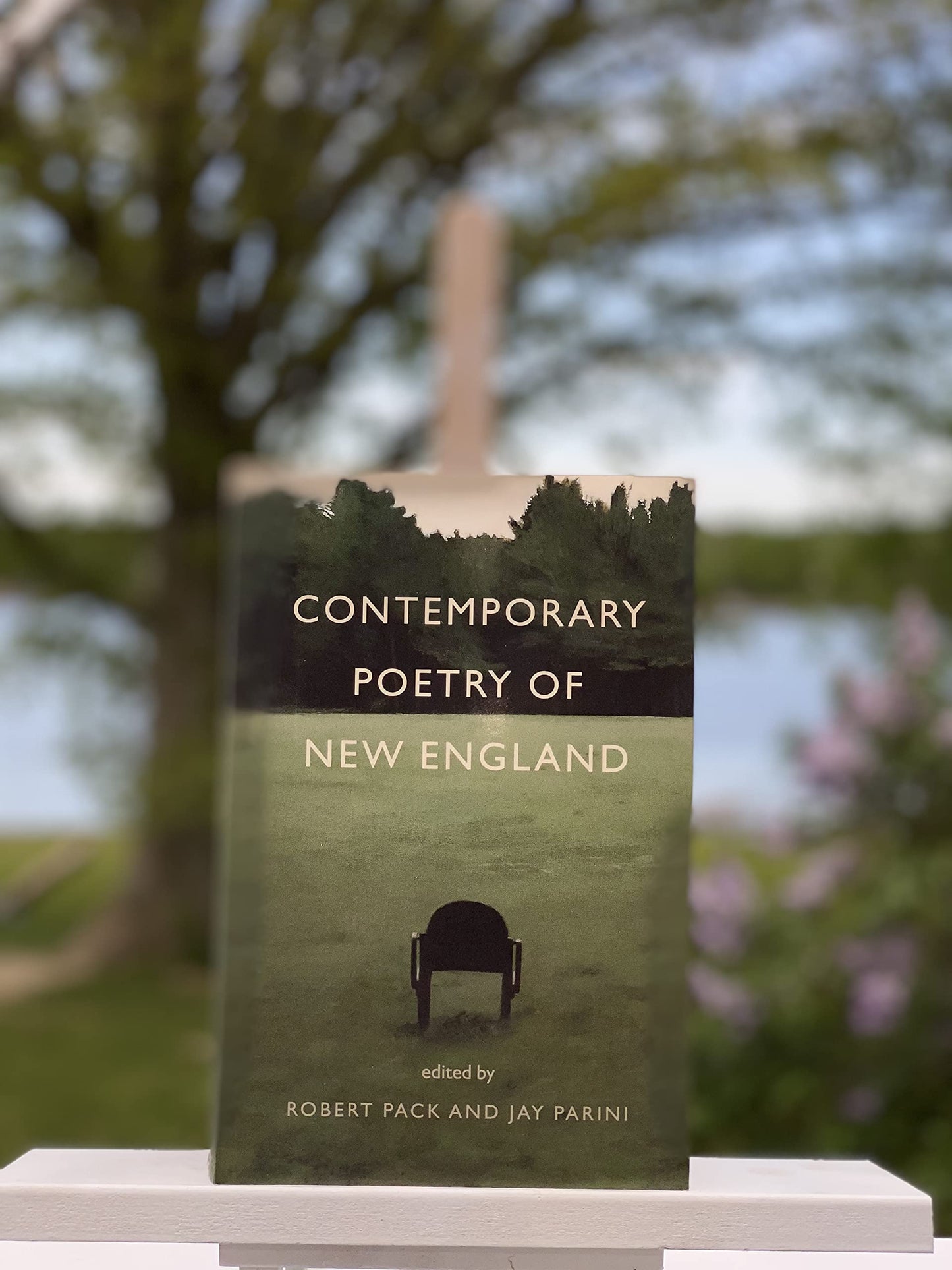 Contemporary Poetry of New England: New Hampshire and the Premier Presidential Promary book cover