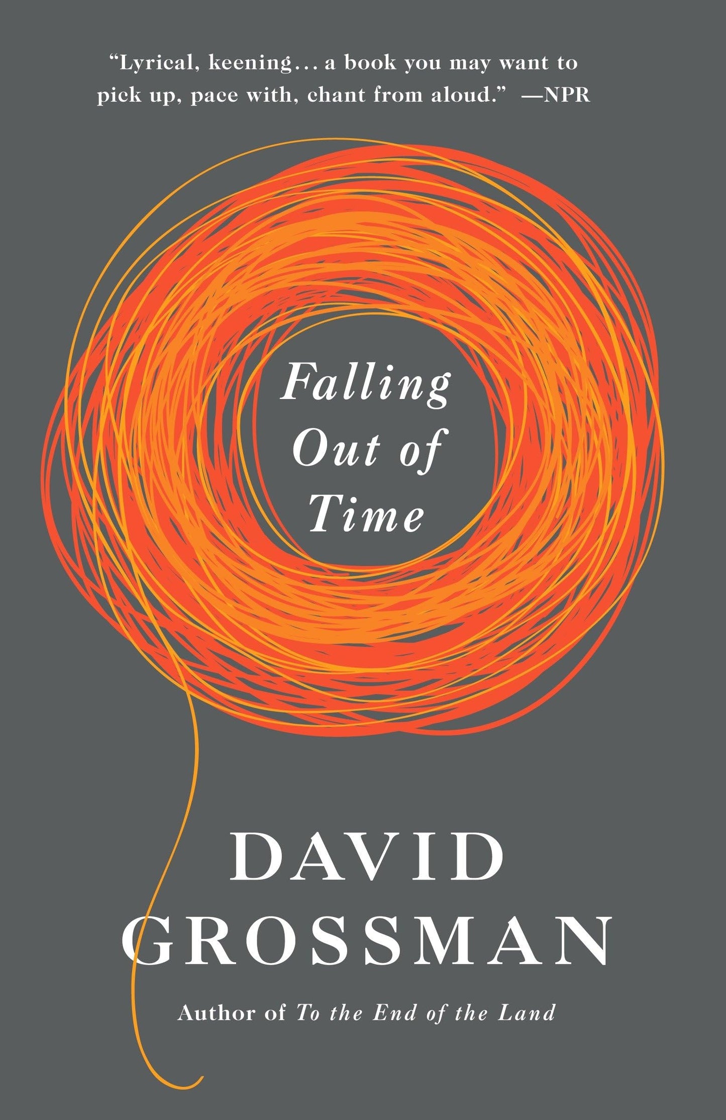 Falling Out of Time book cover
