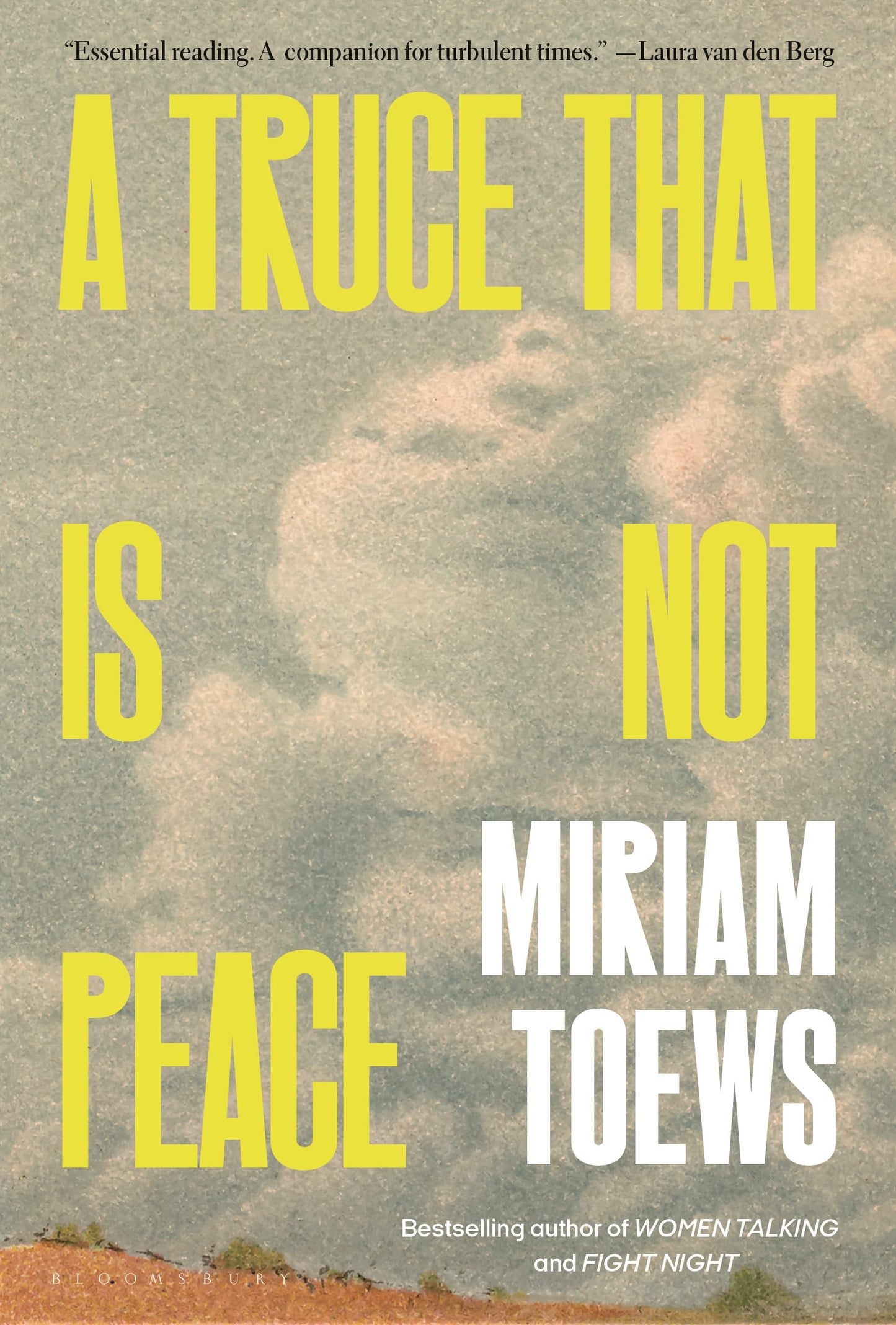 A Truce That Is Not Peace book cover