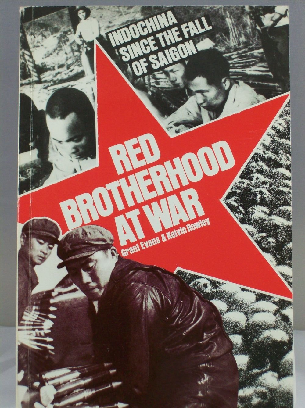 Red brotherhood at war: Indochina since the fall of Saigon book cover