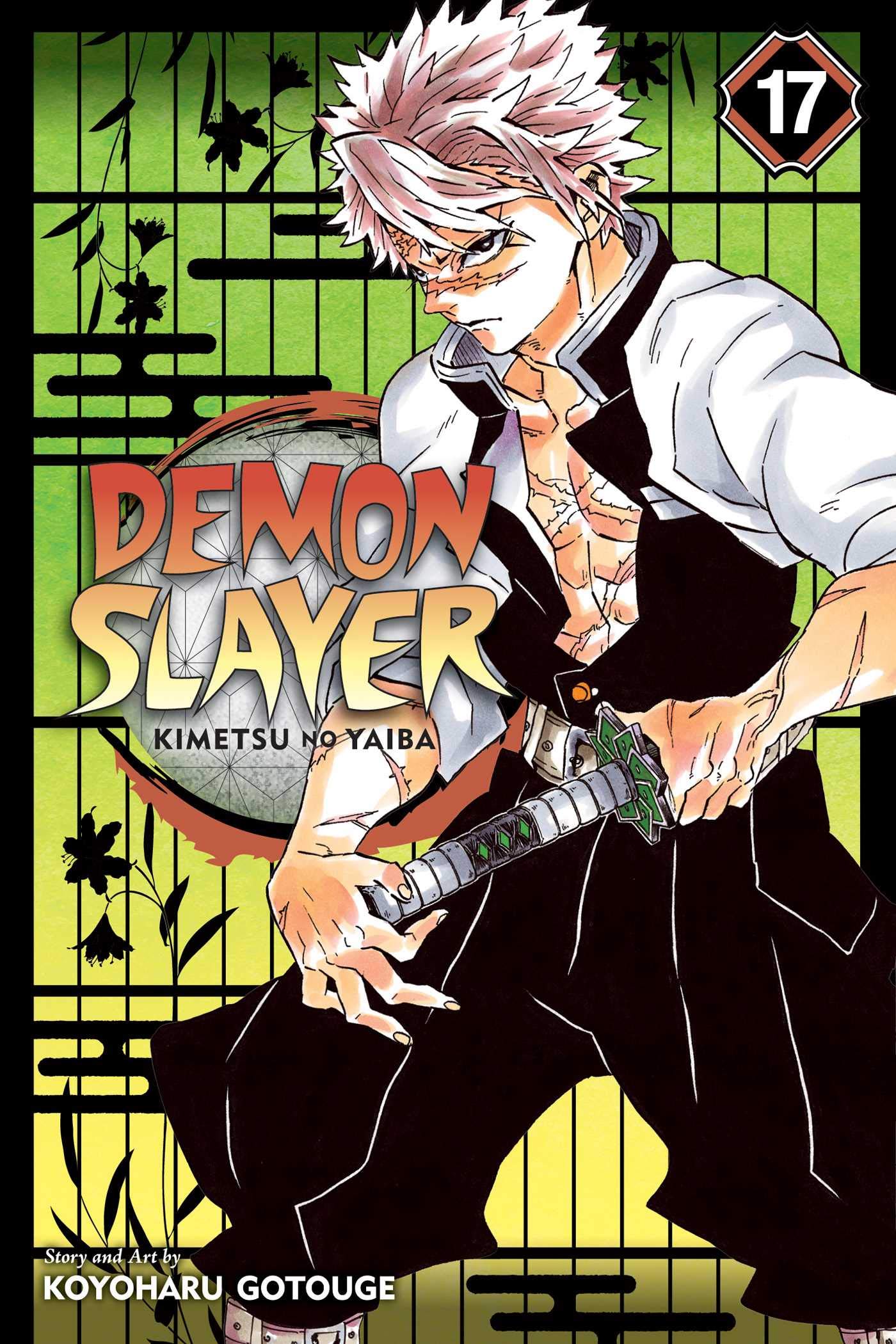 Demon Slayer: Kimetsu No Yaiba, Vol. 17 book cover