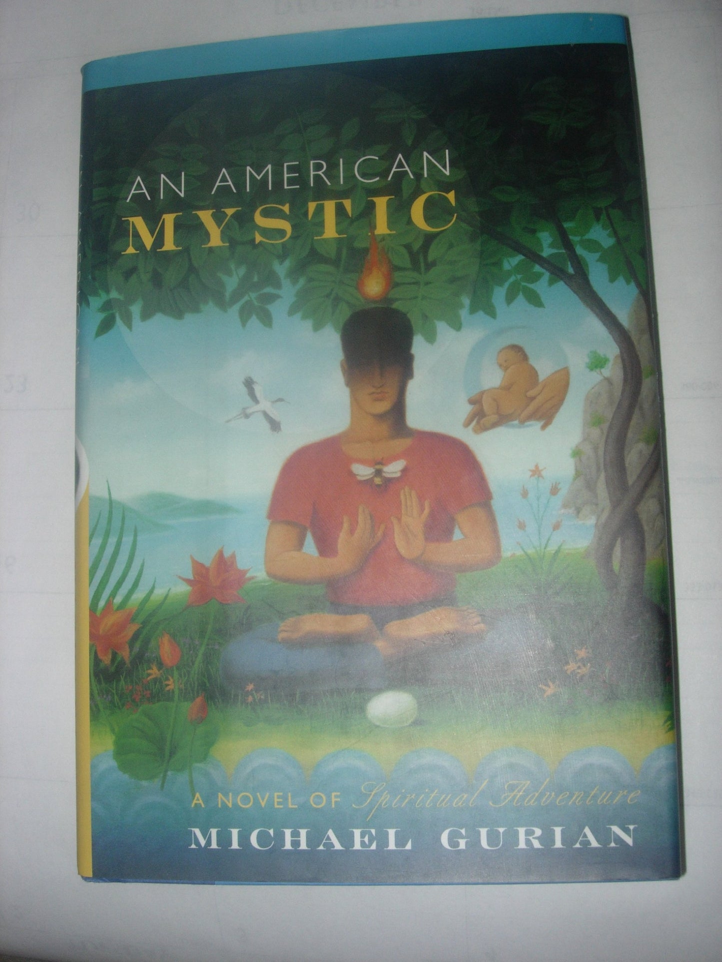 American Mystic: A Novel of Spiritual Adventure book cover