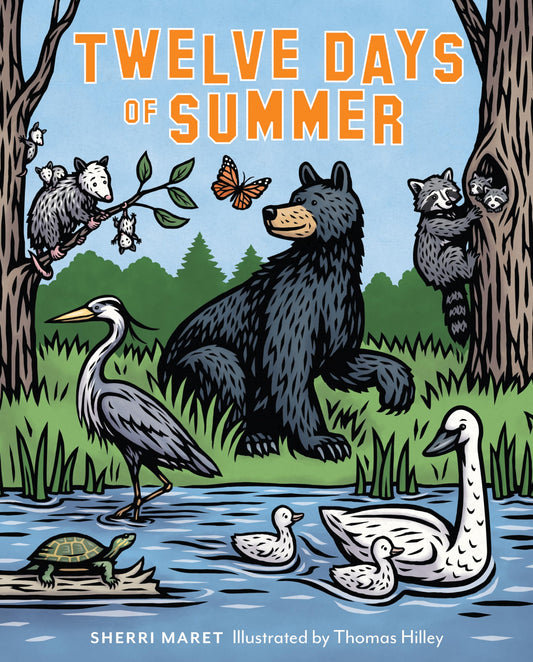 Twelve Days of Summer book cover