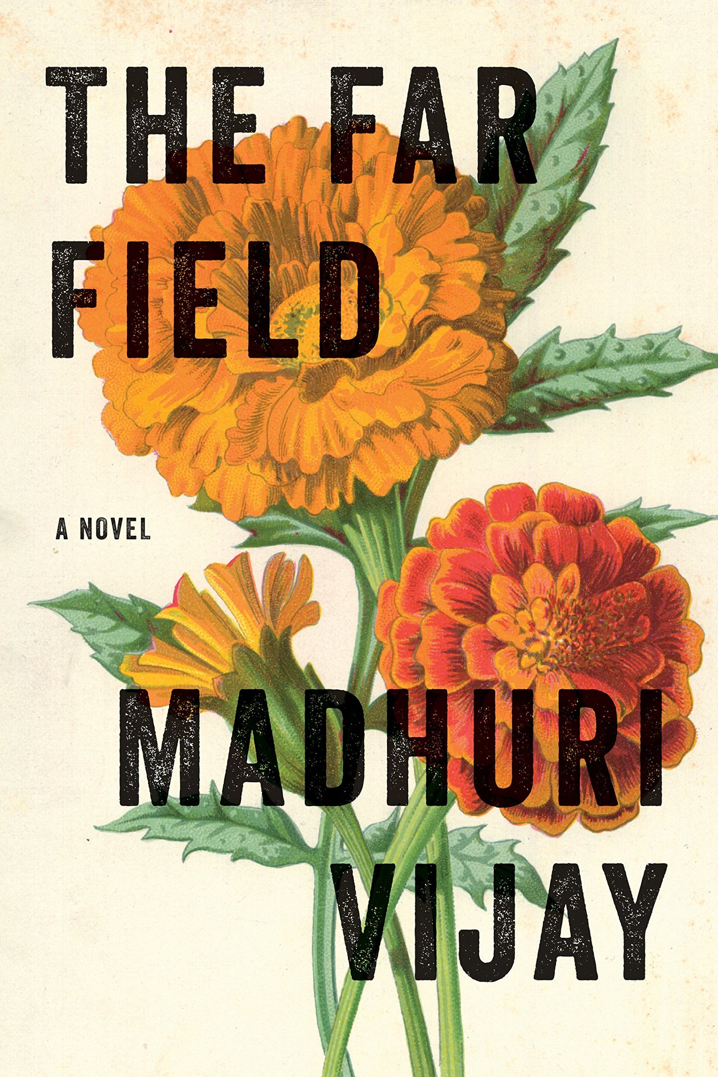 Far Field book cover