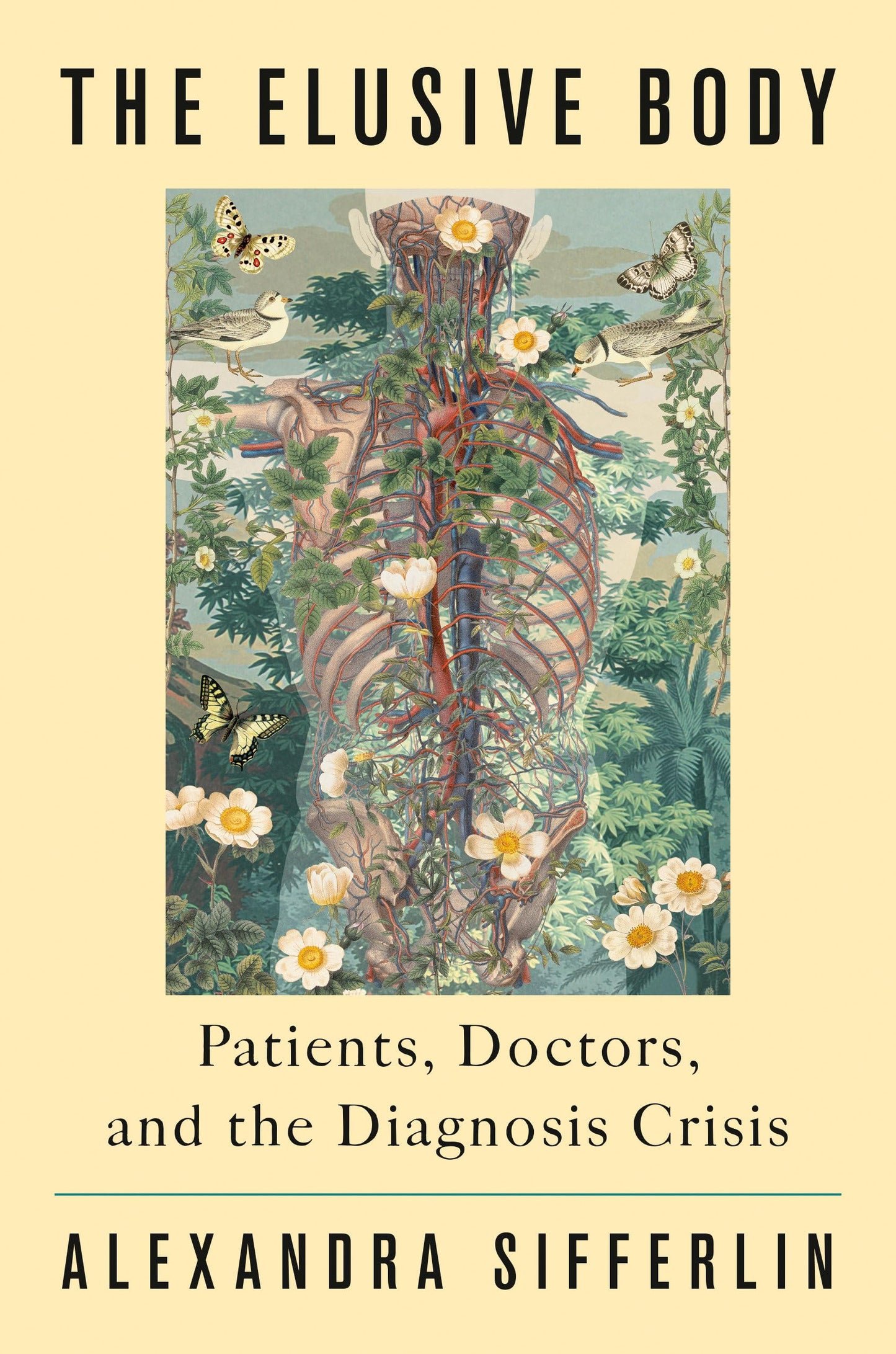 Elusive Body: Patients, Doctors, and the Diagnosis Crisis book cover