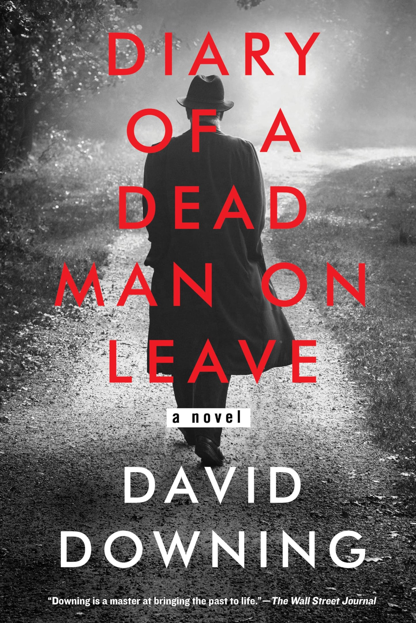 Diary of a Dead Man on Leave book cover