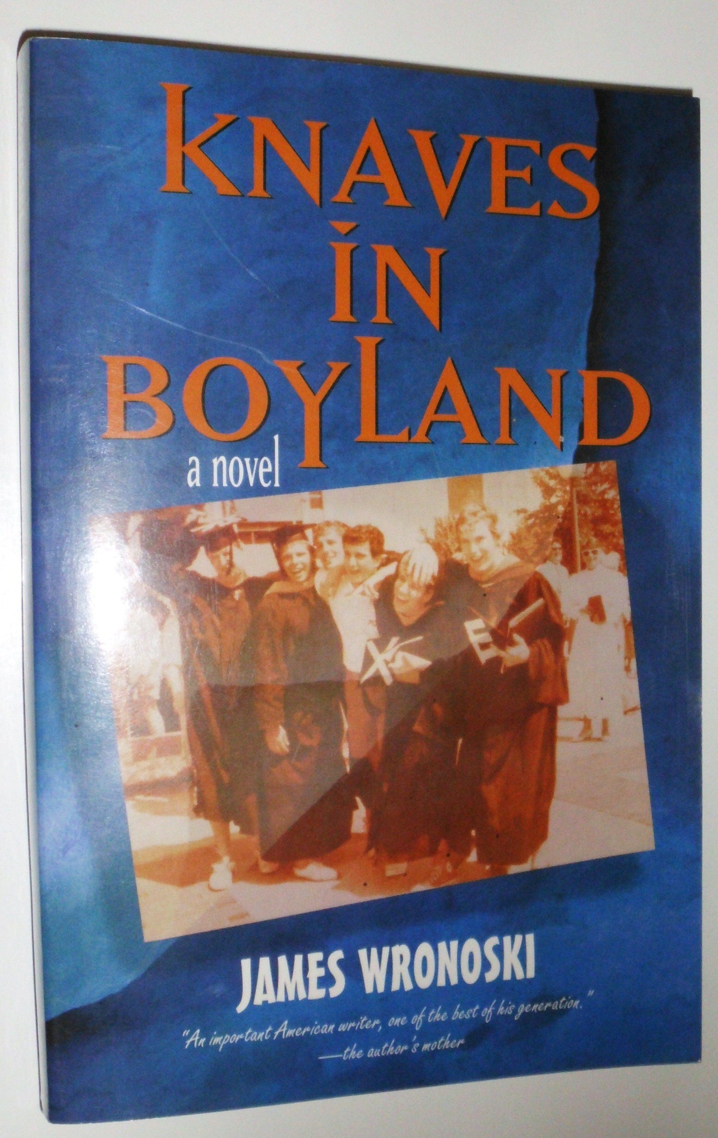 Knaves In Boyland book cover
