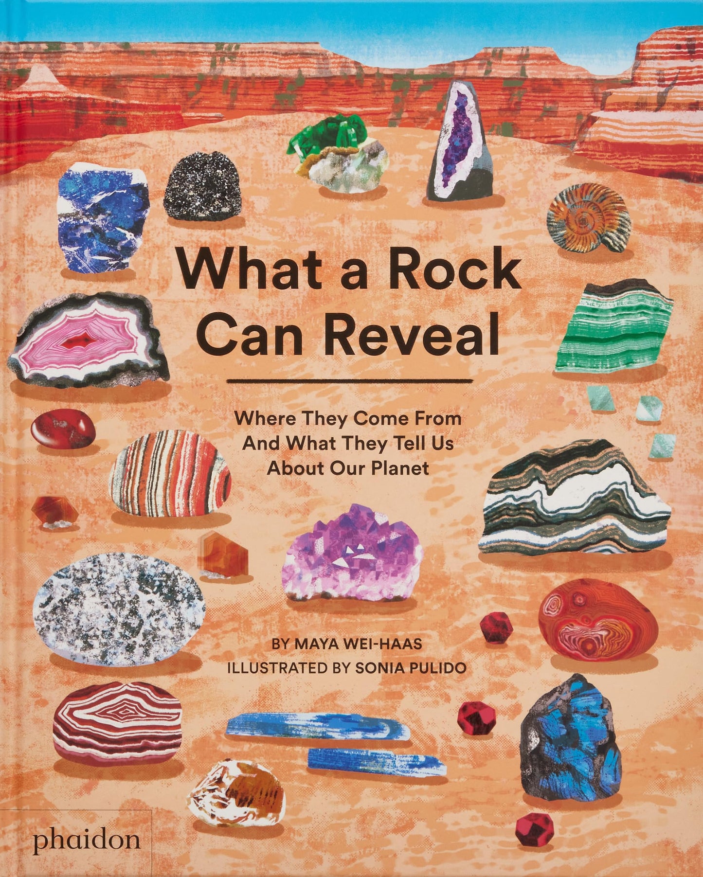 What a Rock Can Reveal: Where They Come from and What They Tell Us about Our Planet book cover