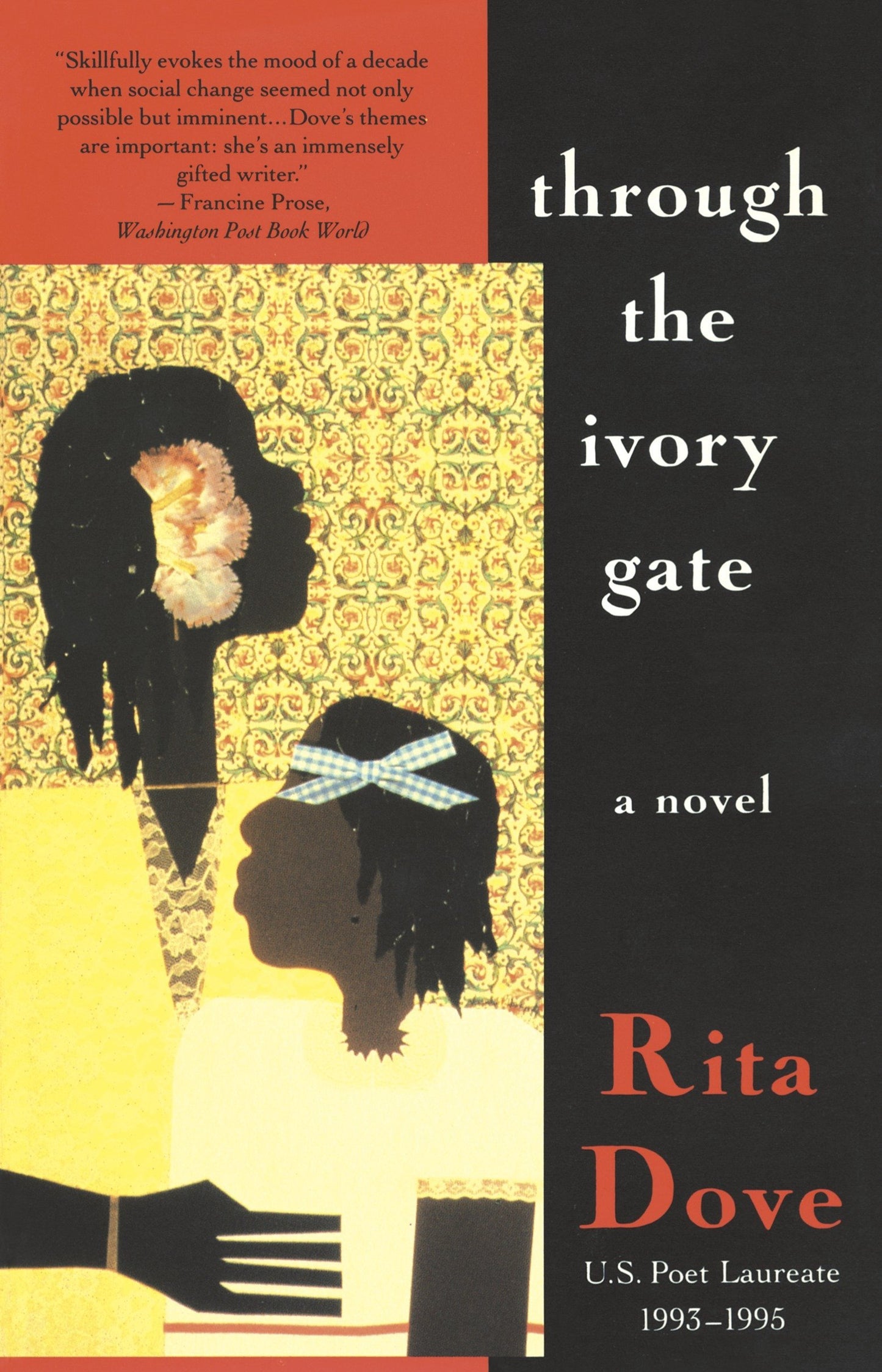 Through the Ivory Gate book cover