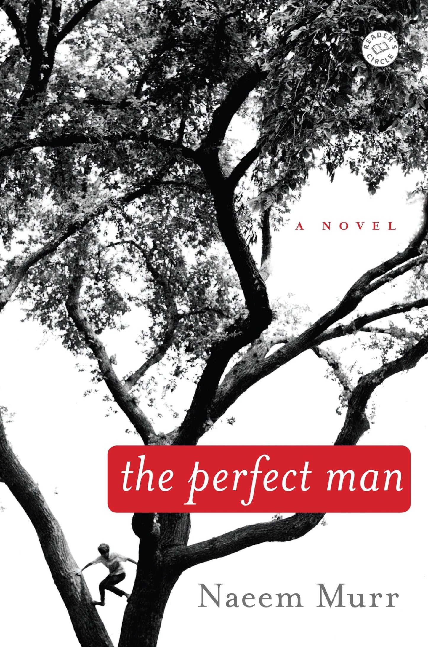 Perfect Man book cover