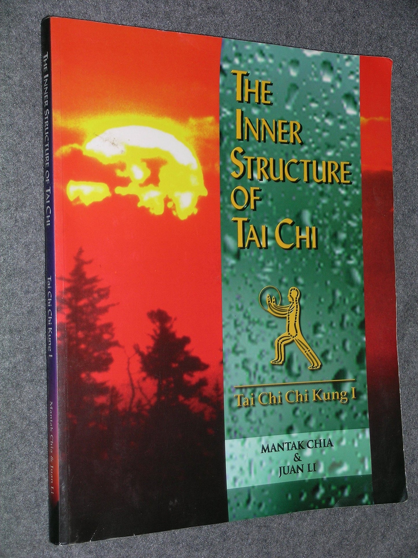 Inner Structure of Tai Chi