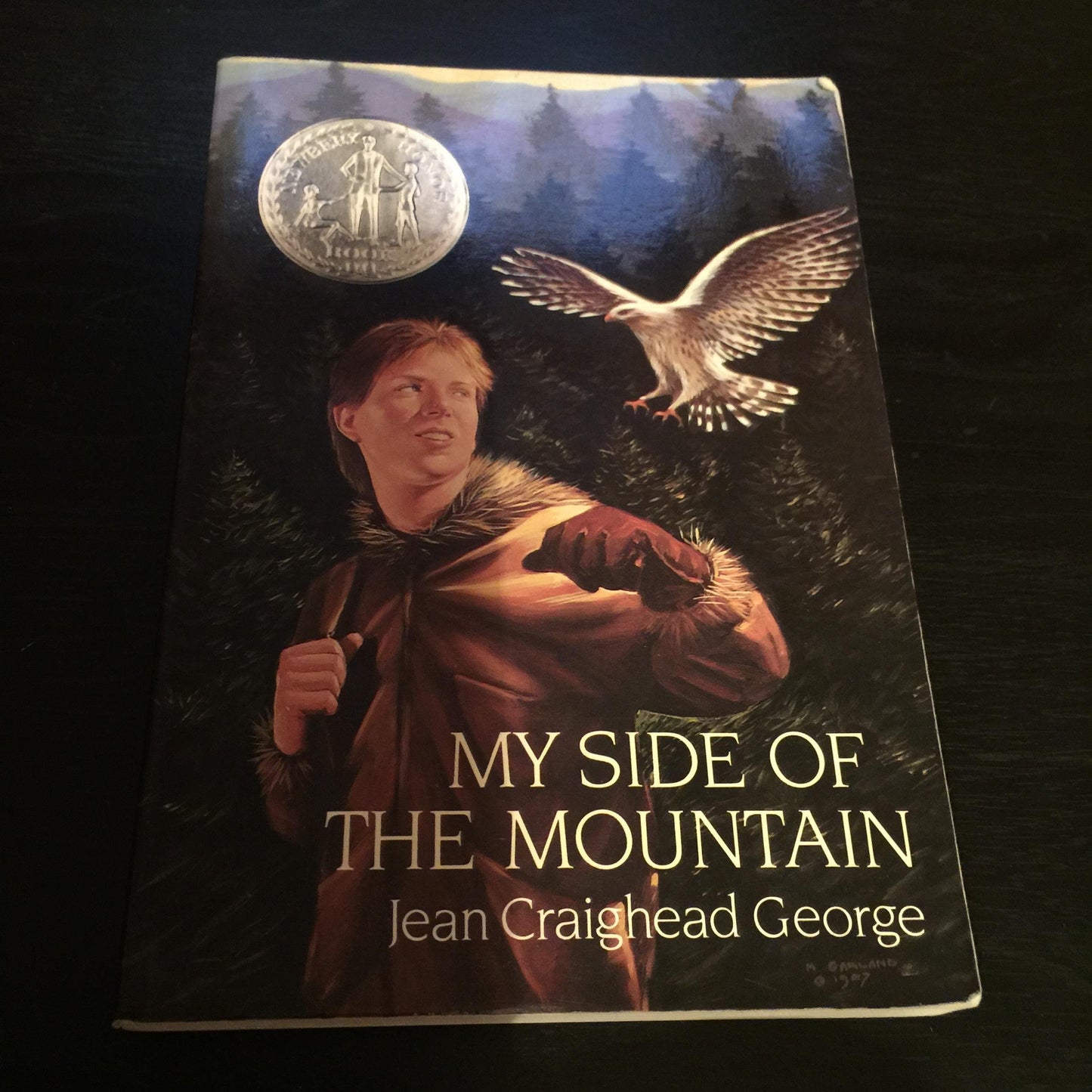 My Side of the Mountain book cover