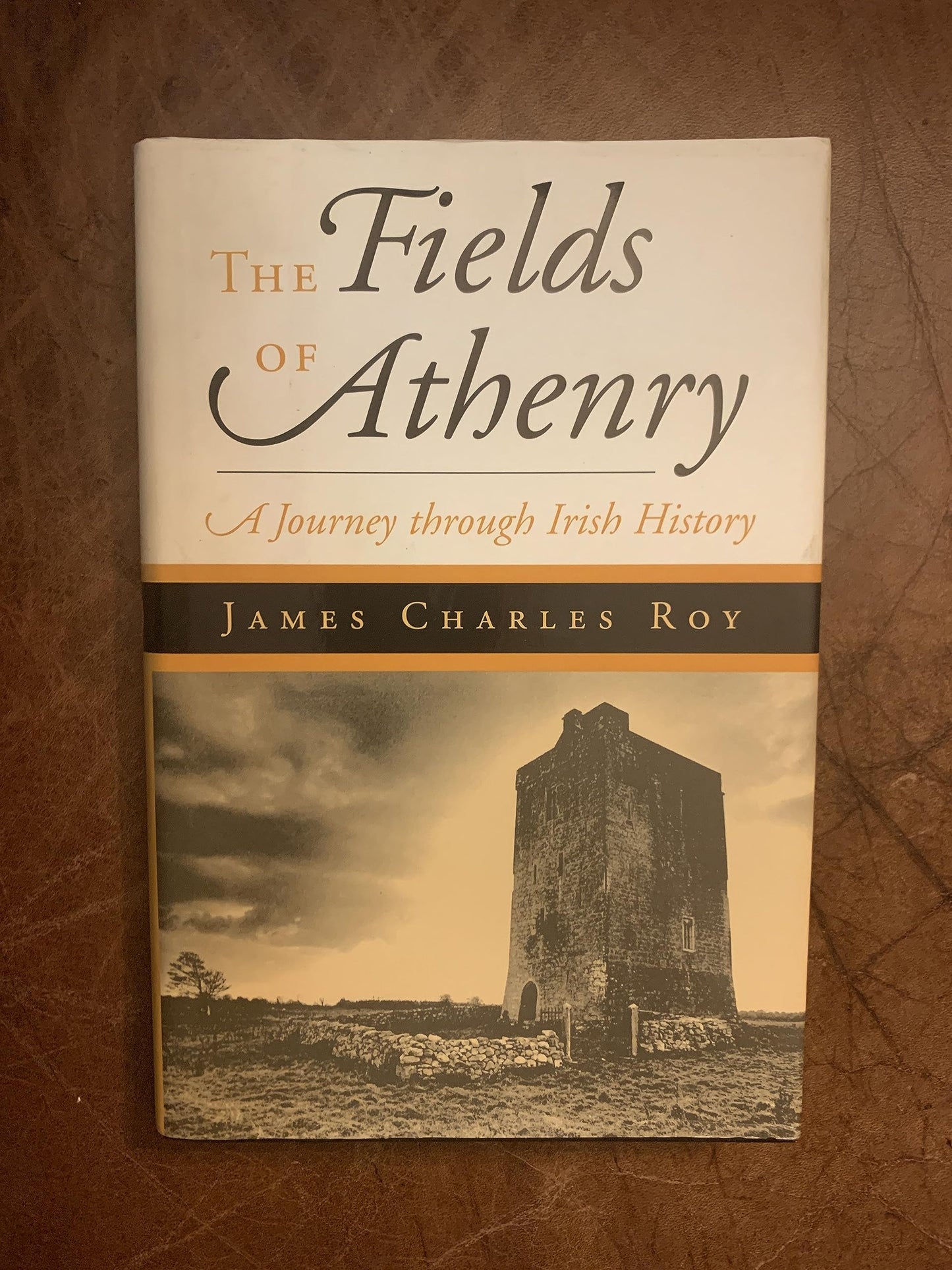 Fields of Athenry: An Irish Saga book cover