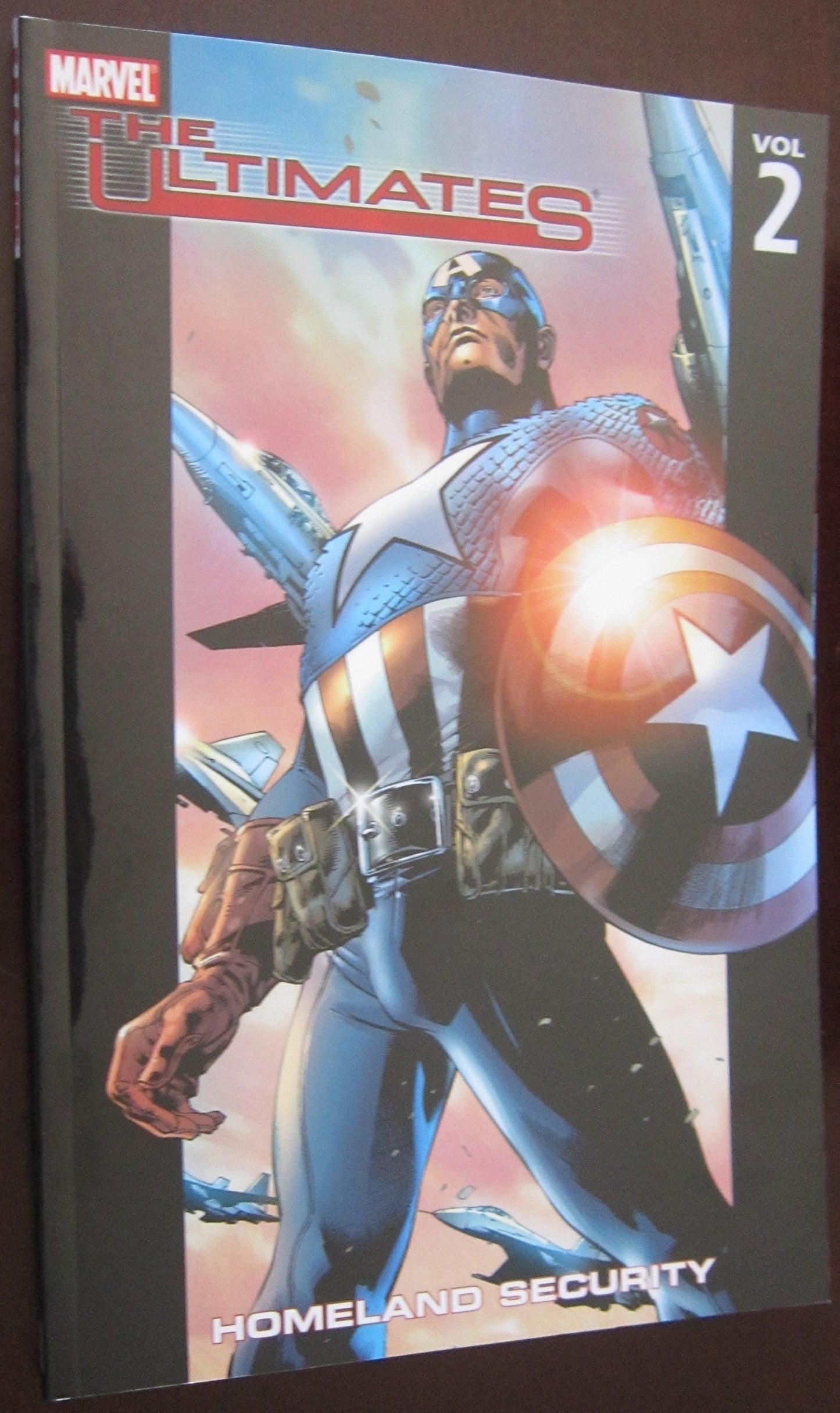 Homeland Security book cover